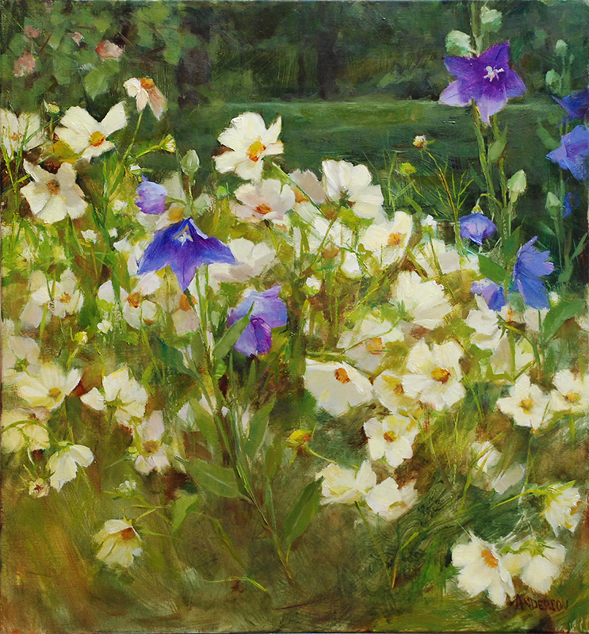 Balloon Flowers and Yellow Cosmos by Kathy Anderson