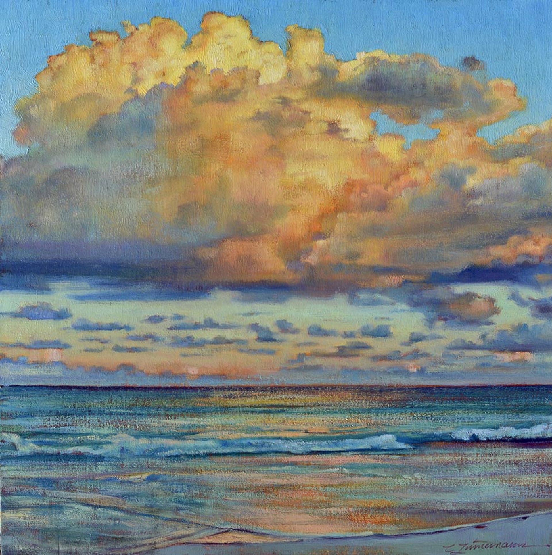 Little Tropical Cloud Sky by Caroline Zimmermann
