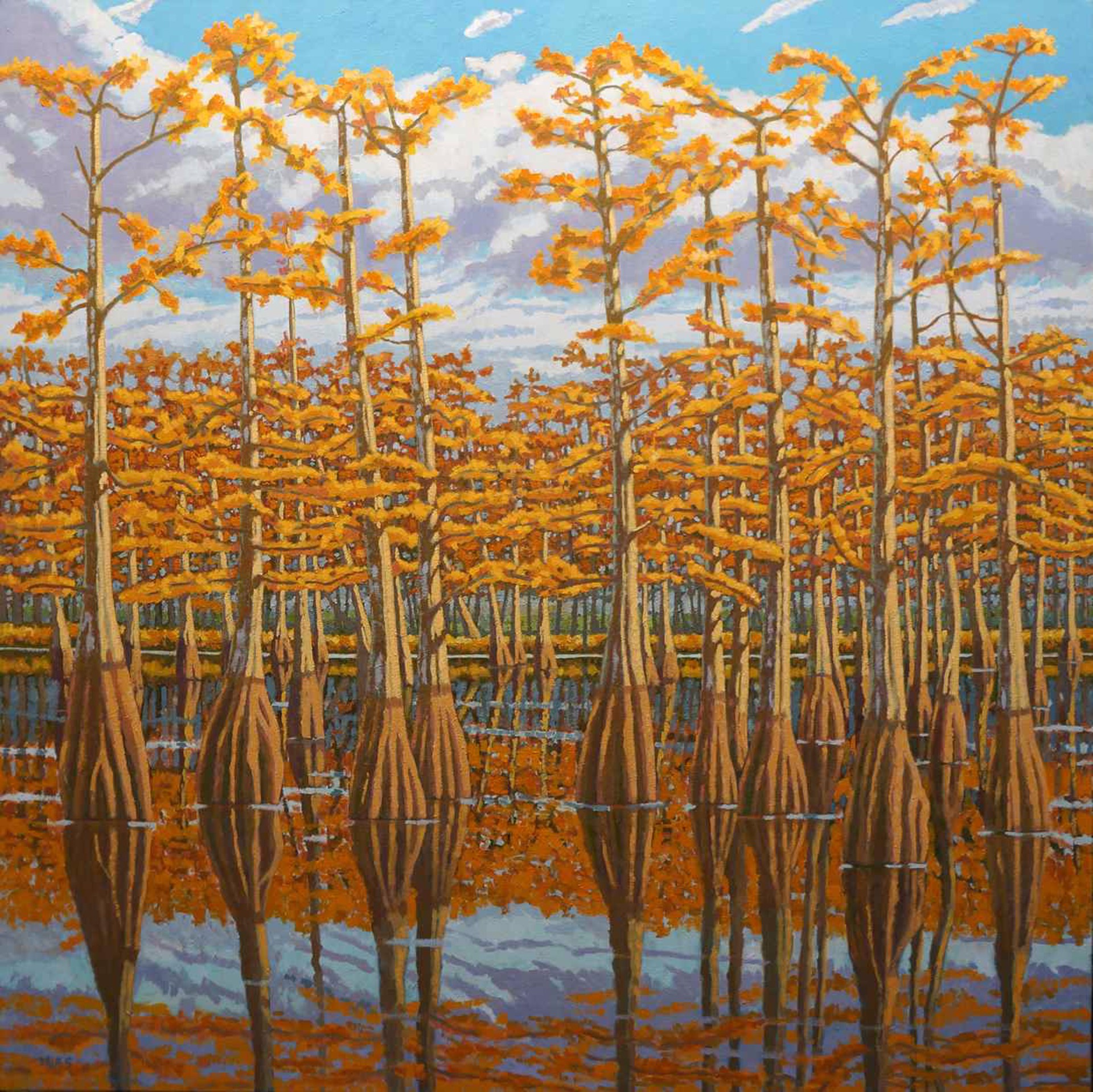Stand of Bald Cypress by Bill Iles