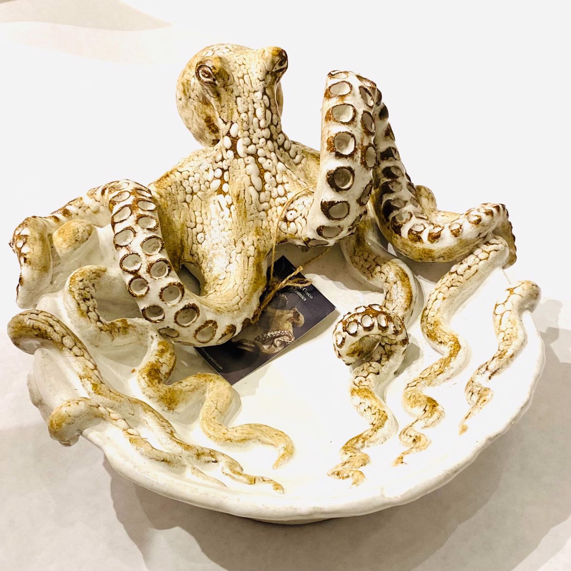 SG22-21 Large Octopus Bowl (White) by Shayne Greco