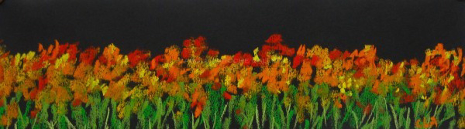 Field of Poppies  by Carole LaRoche