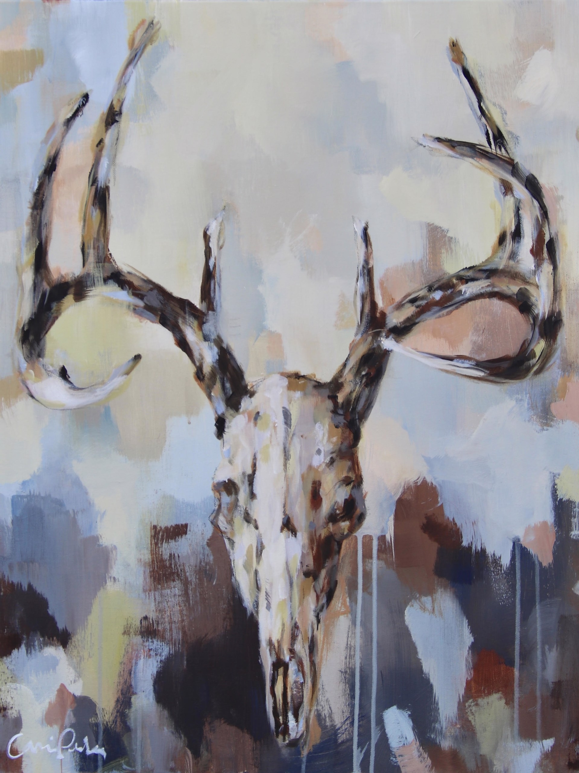 Original Painting Of A Skull On a Light and Neutral Background With Blues, By Carrie Penley