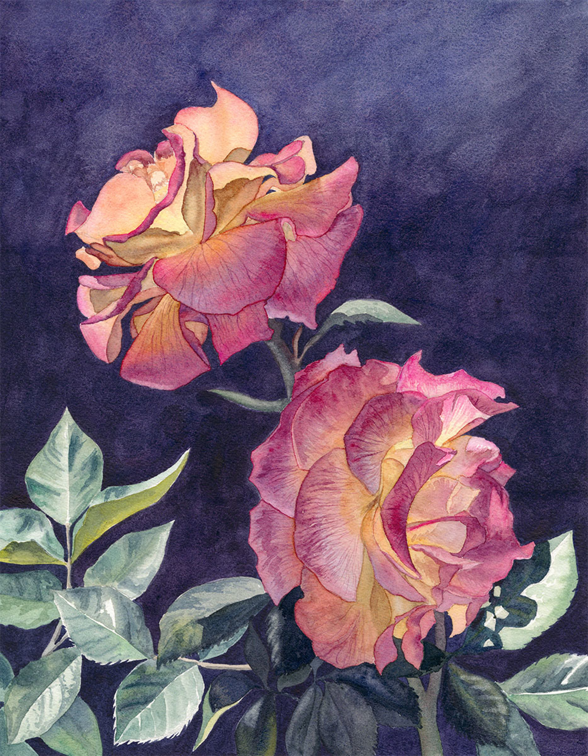 Two Pinata Roses  by Sabrina Kuchta