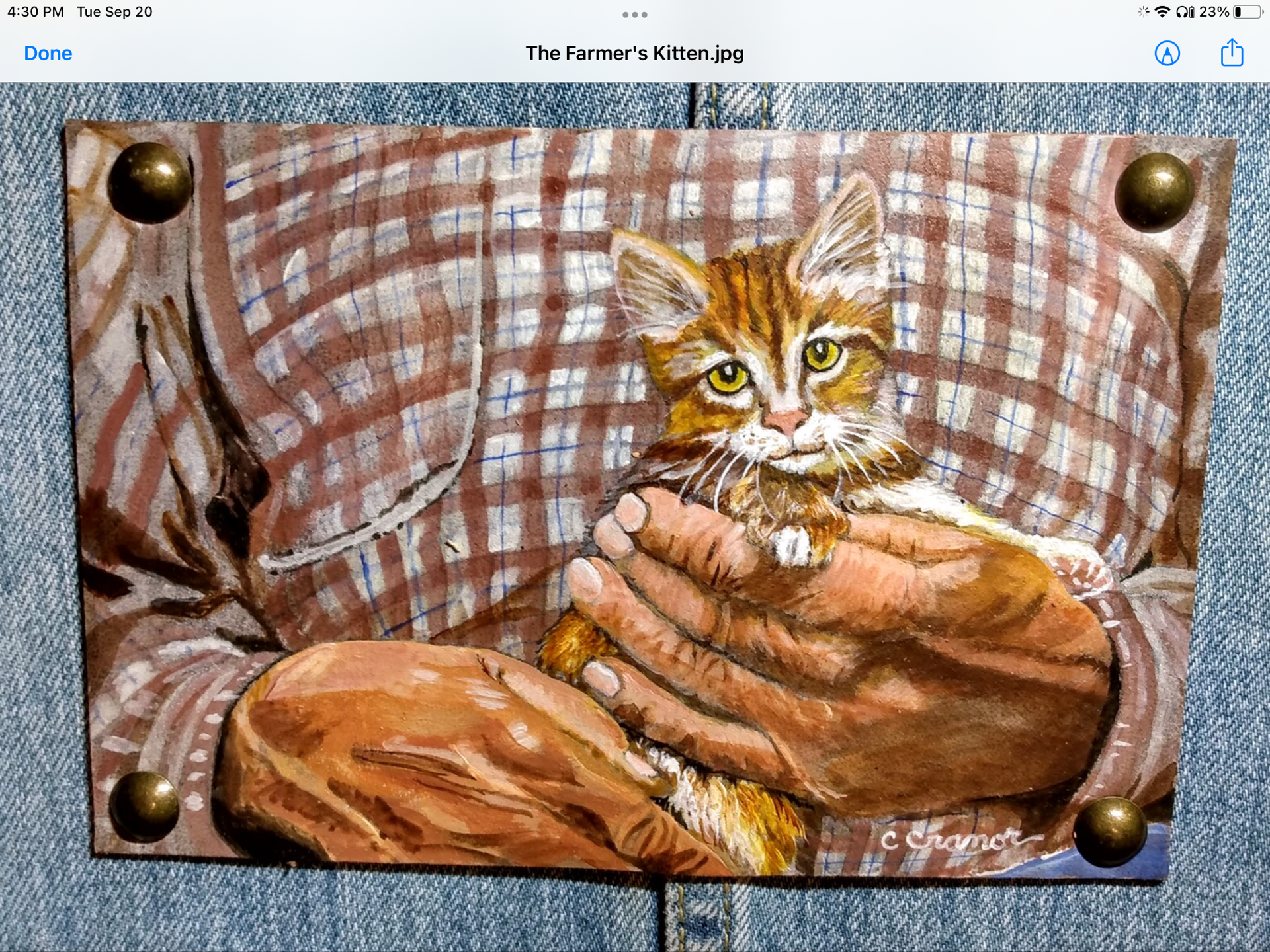 The Farmers Kitten by Cindy Cranor