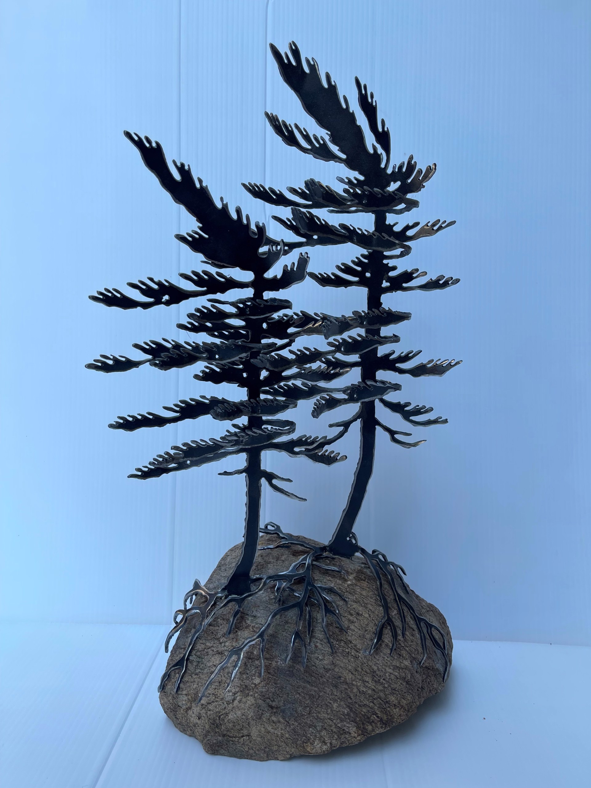 2 Windswept Pines on Rock by Cathy Mark