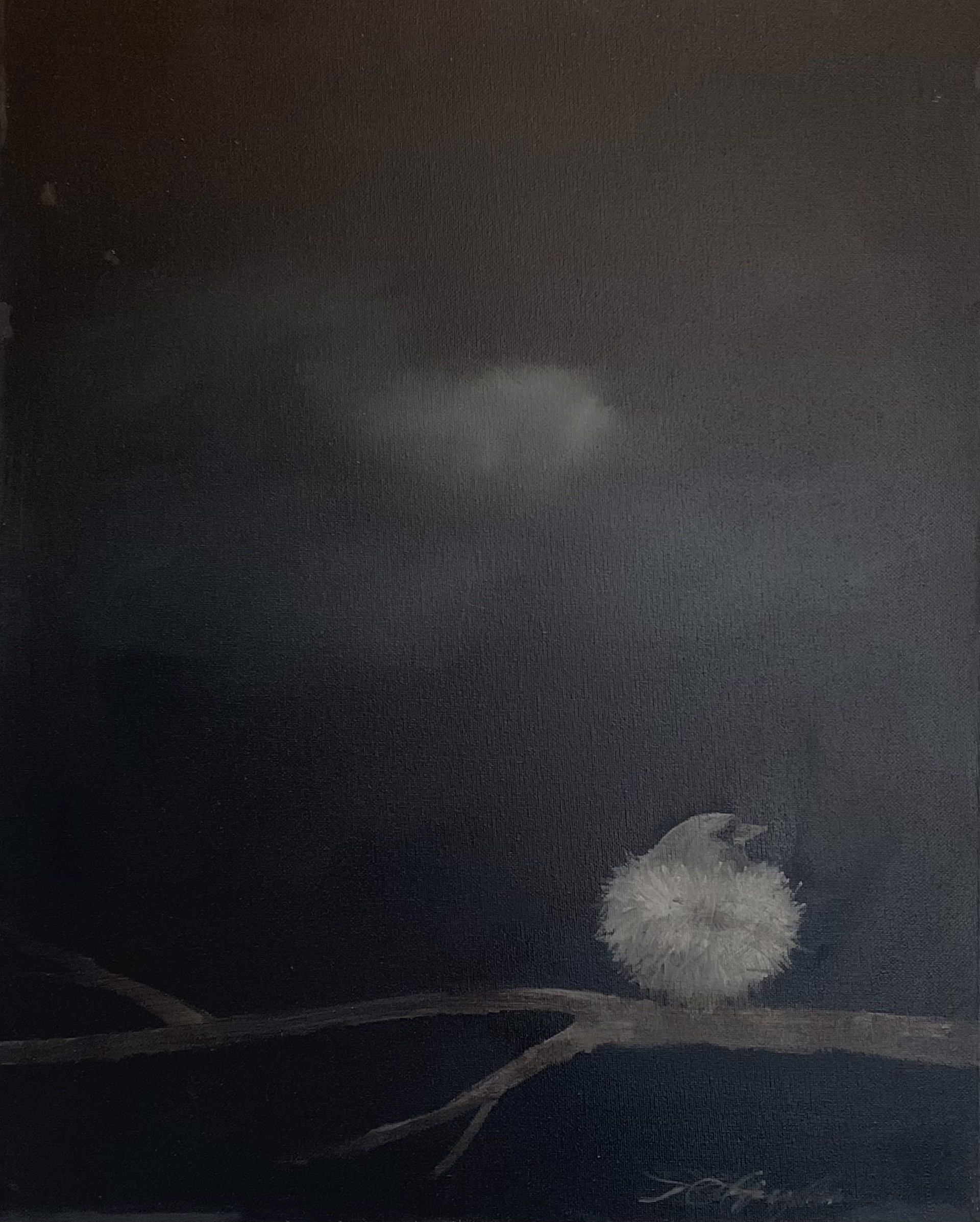 Little Wonder #7 by Donna Hughes