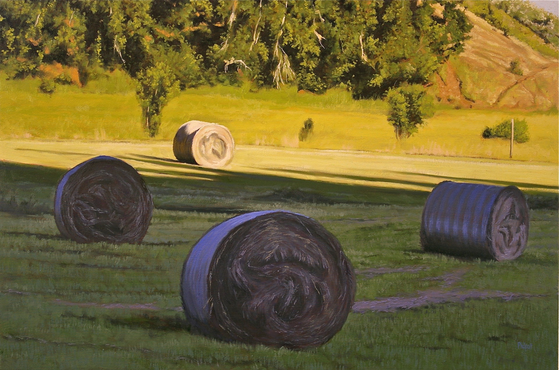Hay Rounds by Neal Philpott