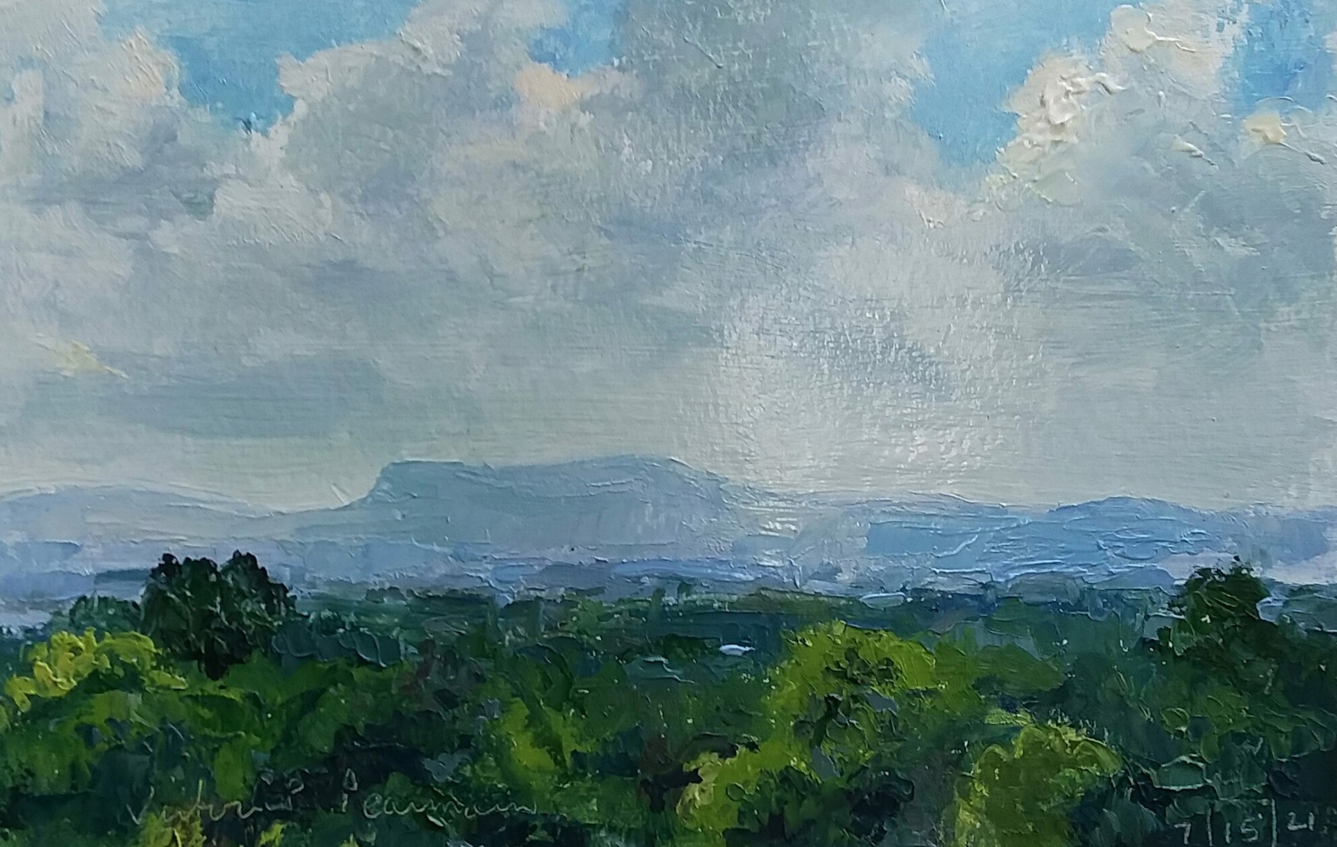 Lookout Mountain, June by Victoria Pearmain