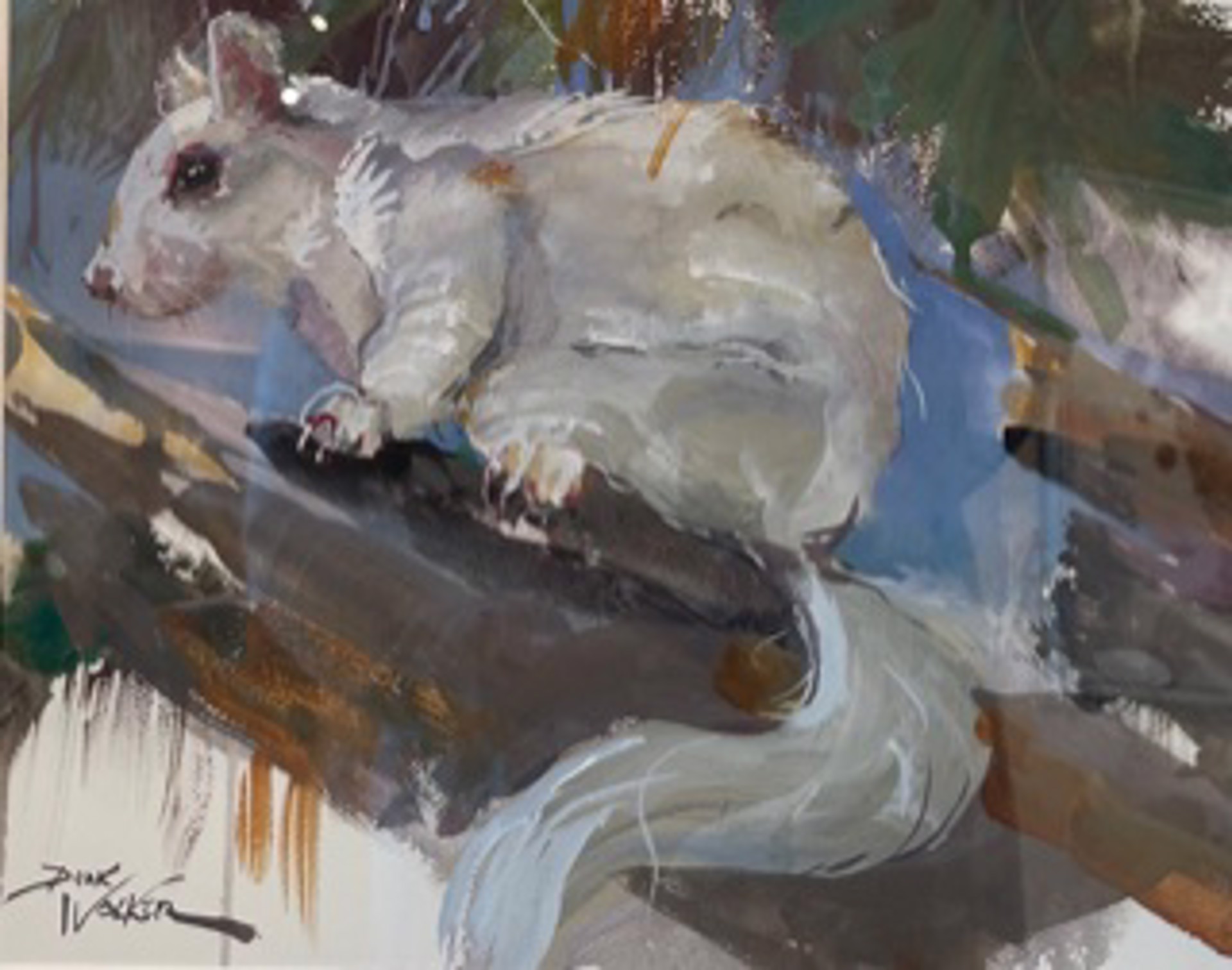 White Squirrel by Dirk Walker