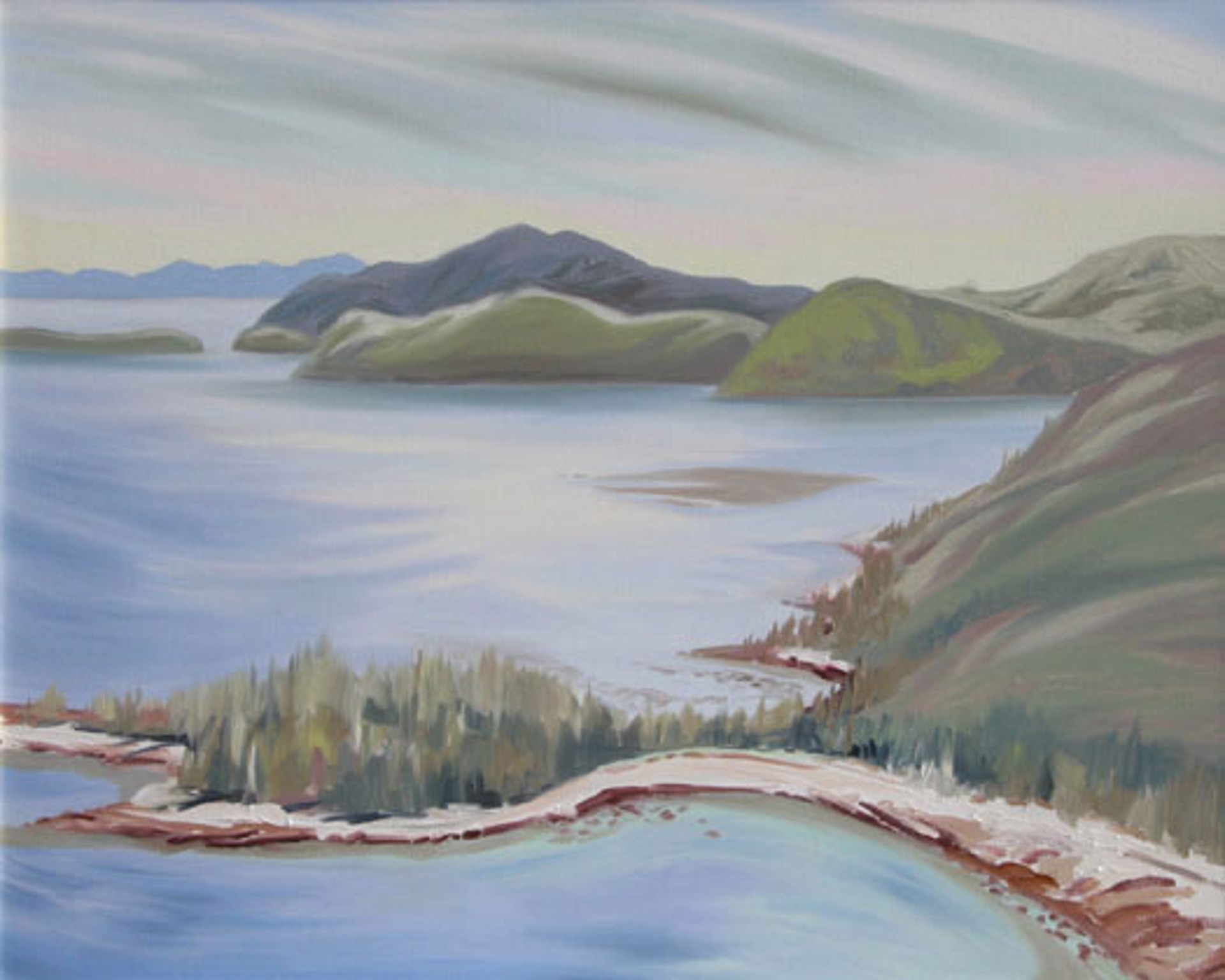 Flying Over Cumshewa Haida Gwaii by Wendy Wacko