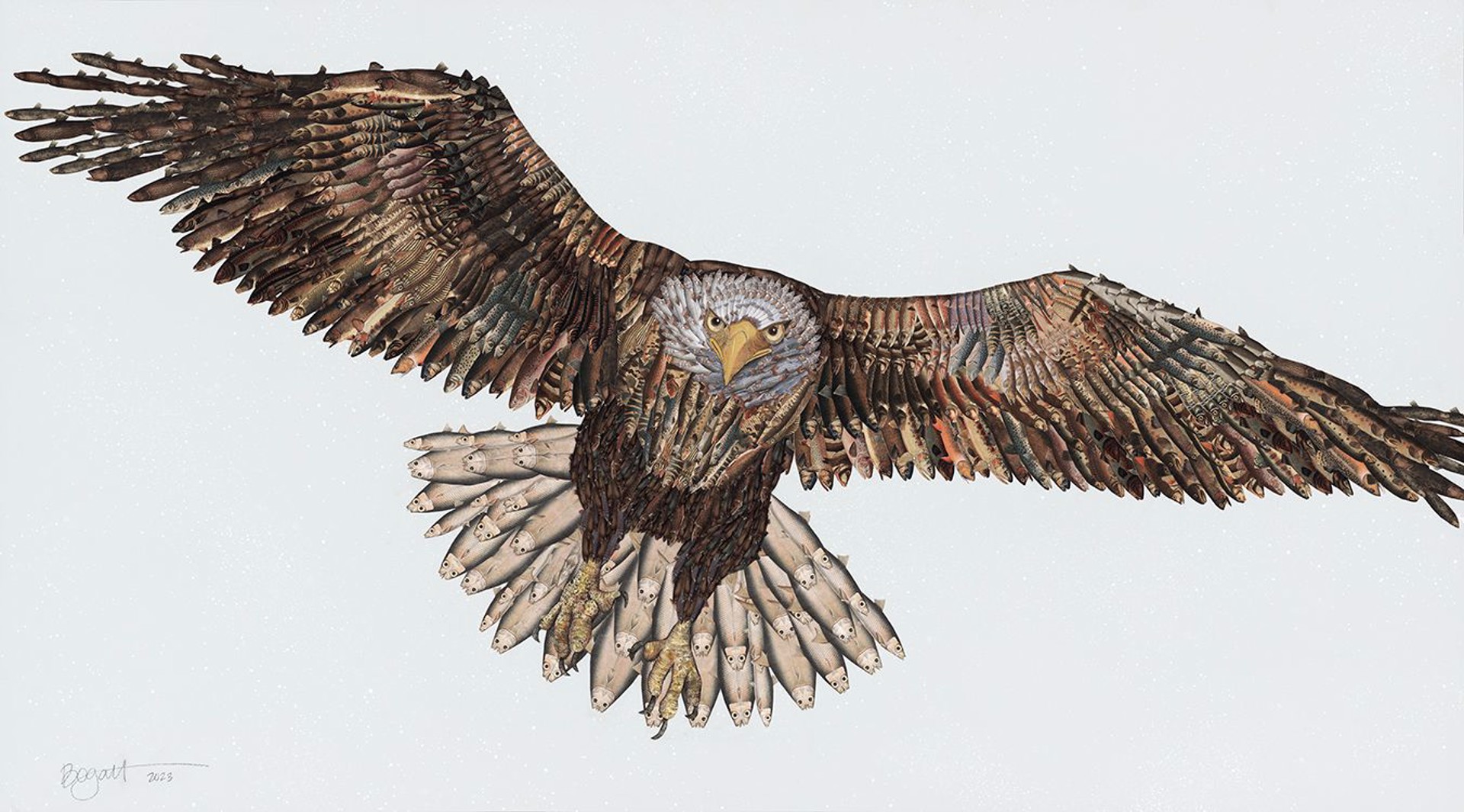 Flying Eagle I by Brenda Bogart - Prints