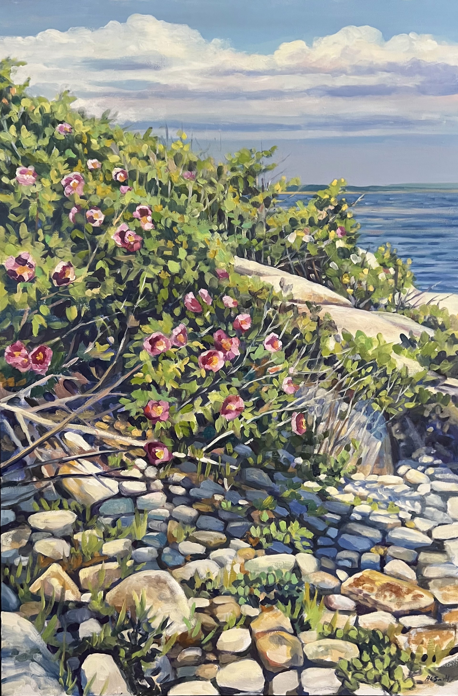 Rugosa Roses at Schoodic by Holly L. Smith
