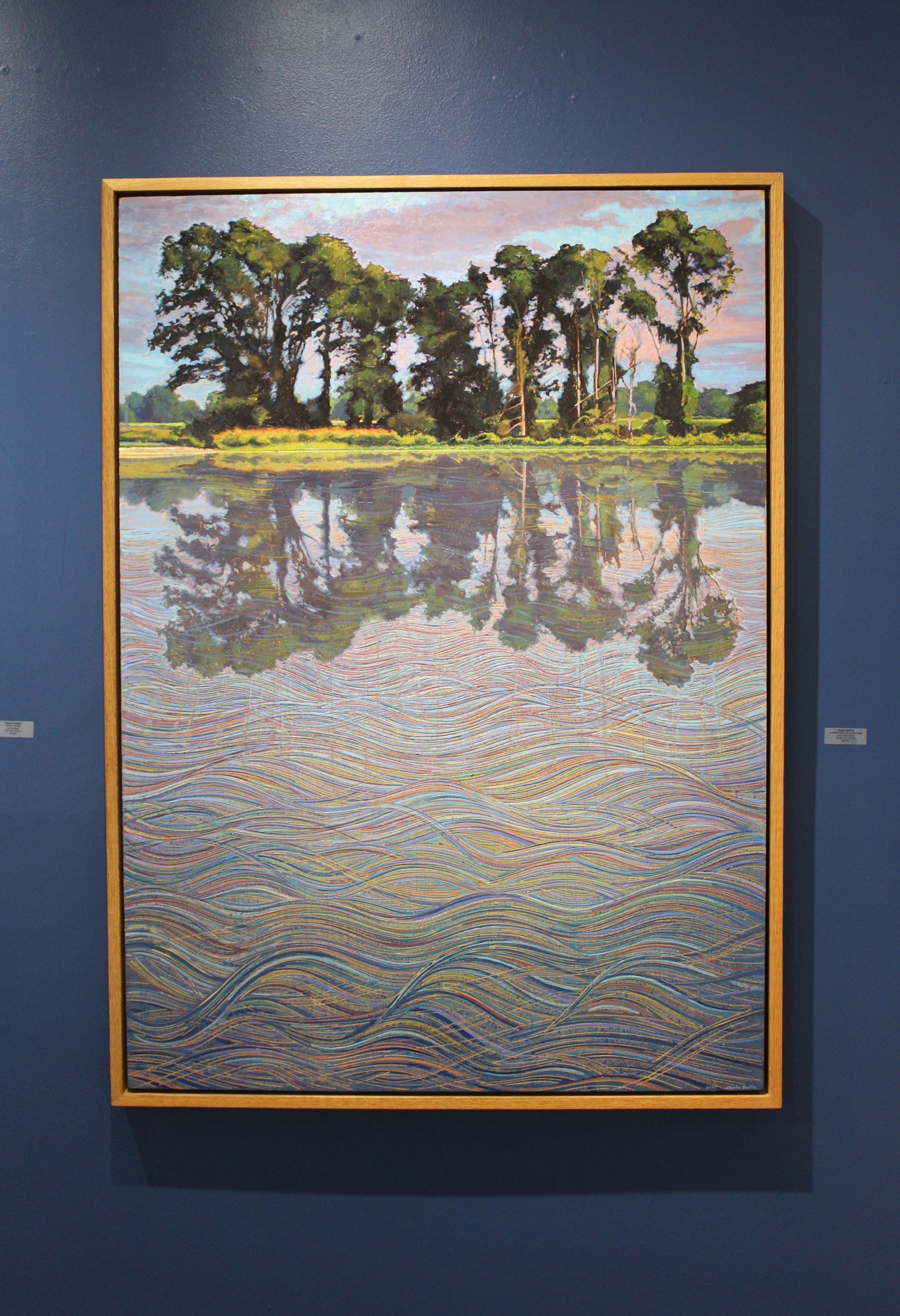 Summer Flood, Mississippi Delta by Charlie Buckley