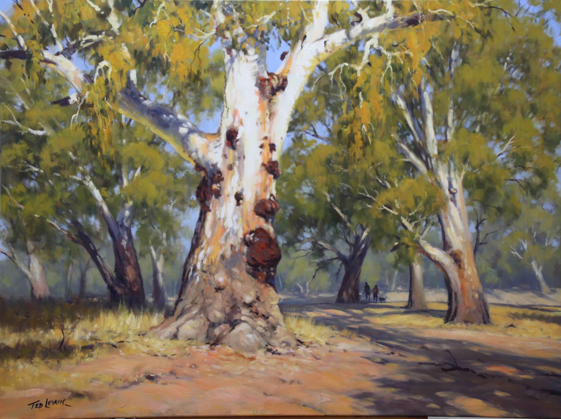 Gums at Mungindi by Ted Lewis