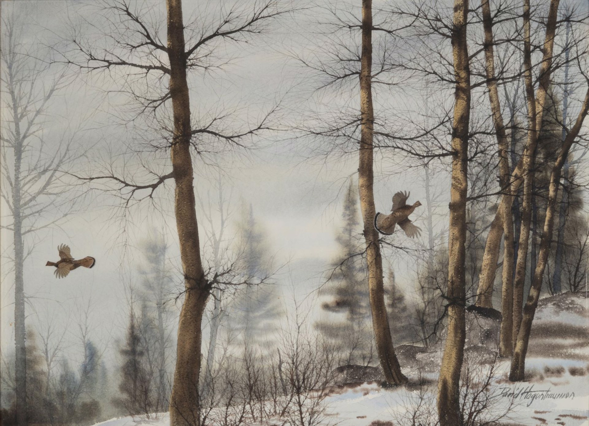 Grouse in Winter by David Hagerbaumer