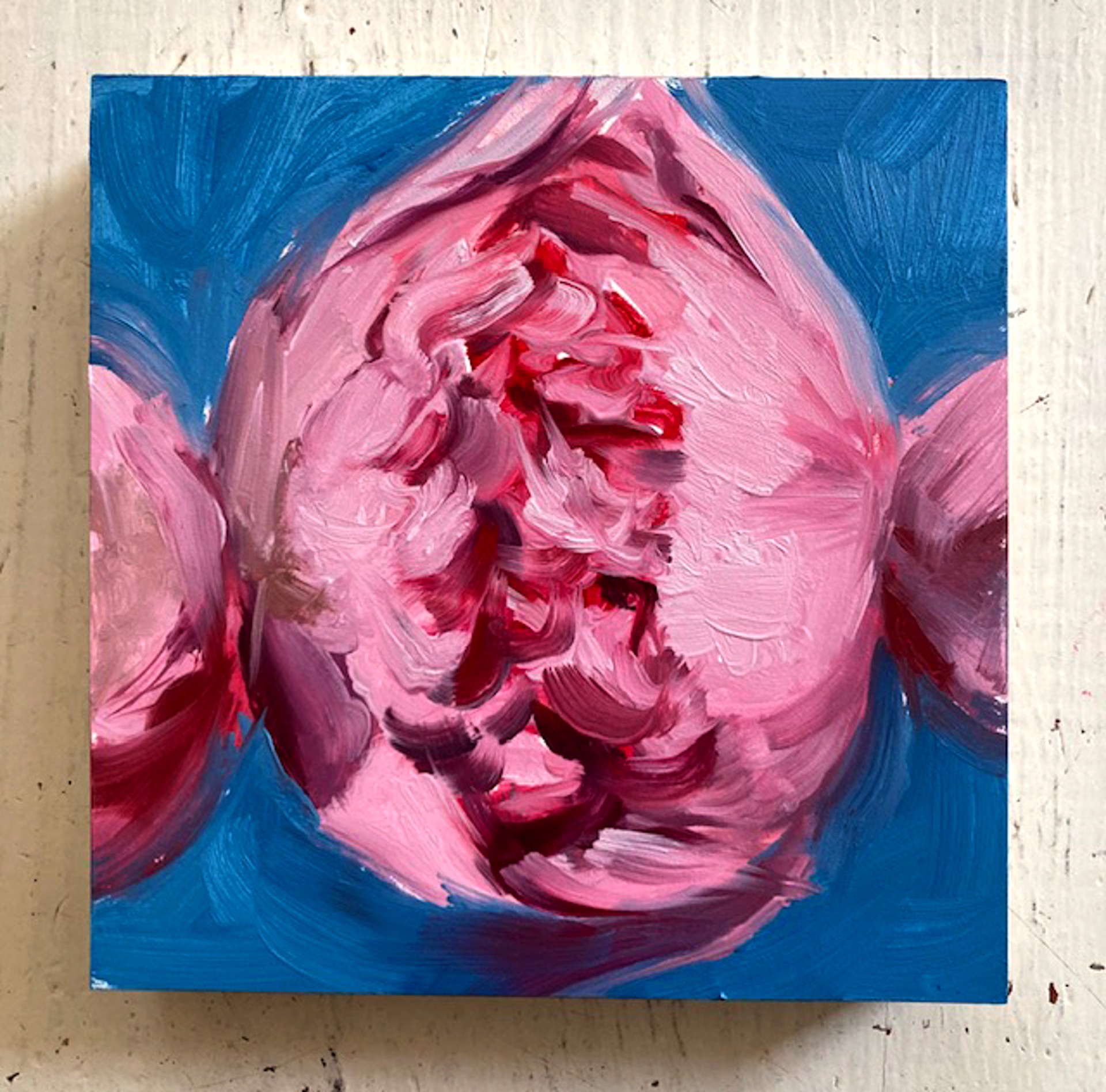 Peony Project #47 by Amy R. Peterson*