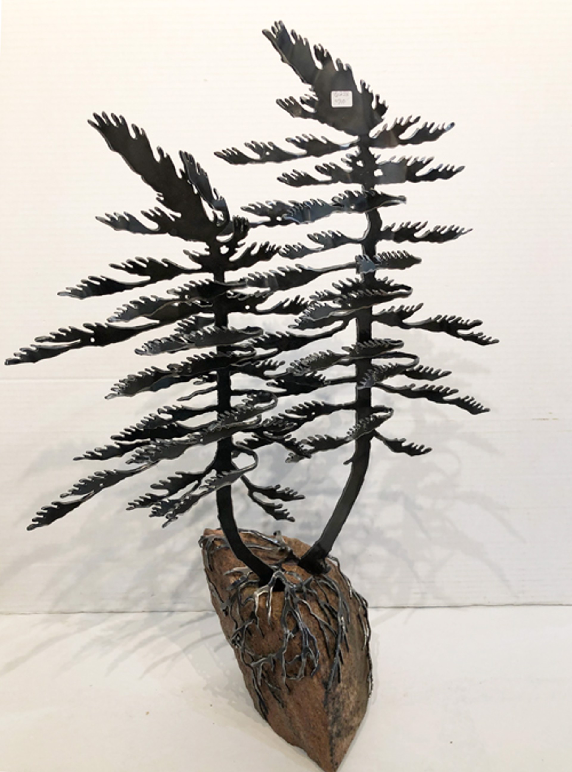 Two Windswept Pine - 6238 by Cathy Mark