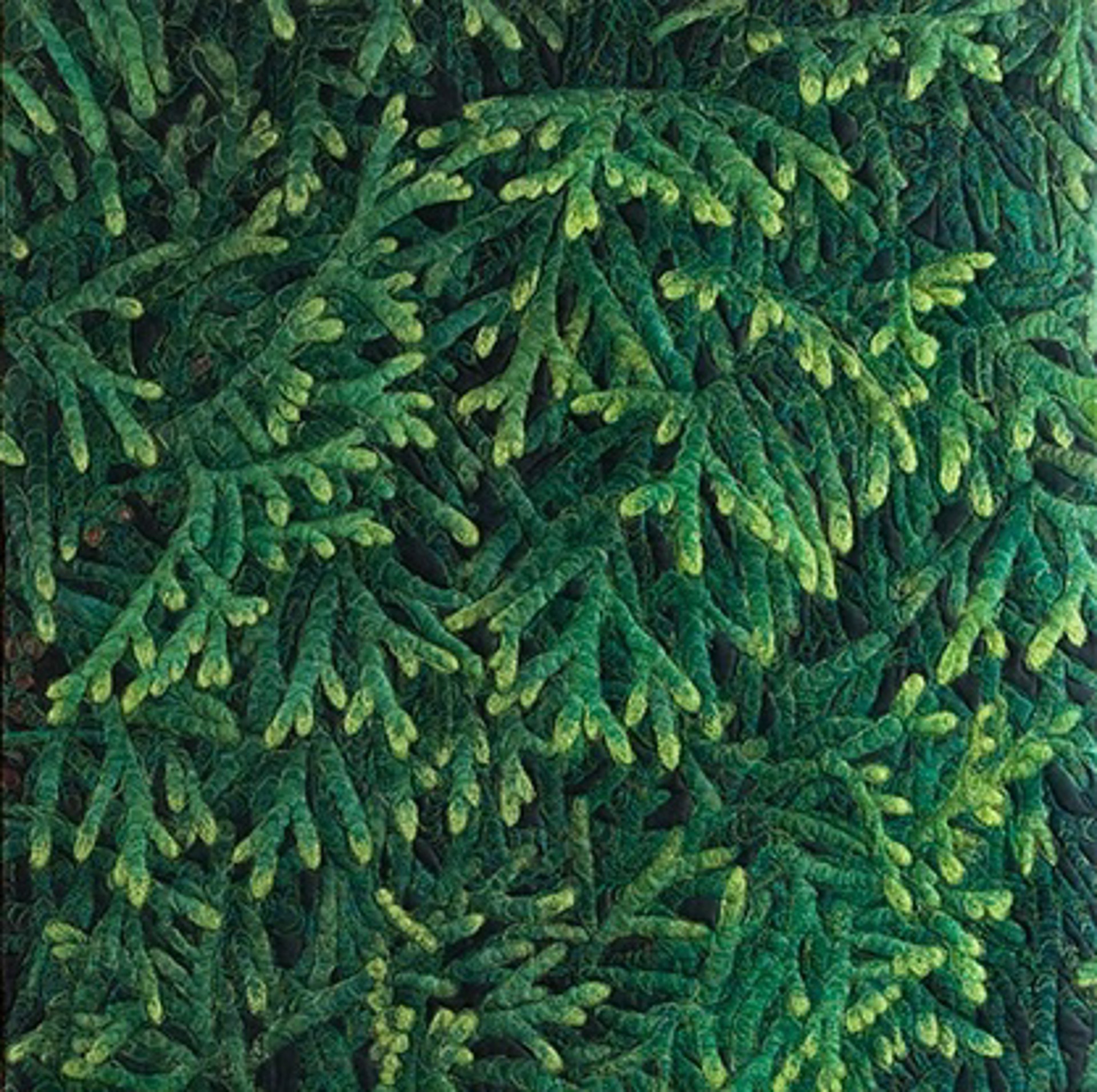 Cedar Bough 1 by Martha Cole