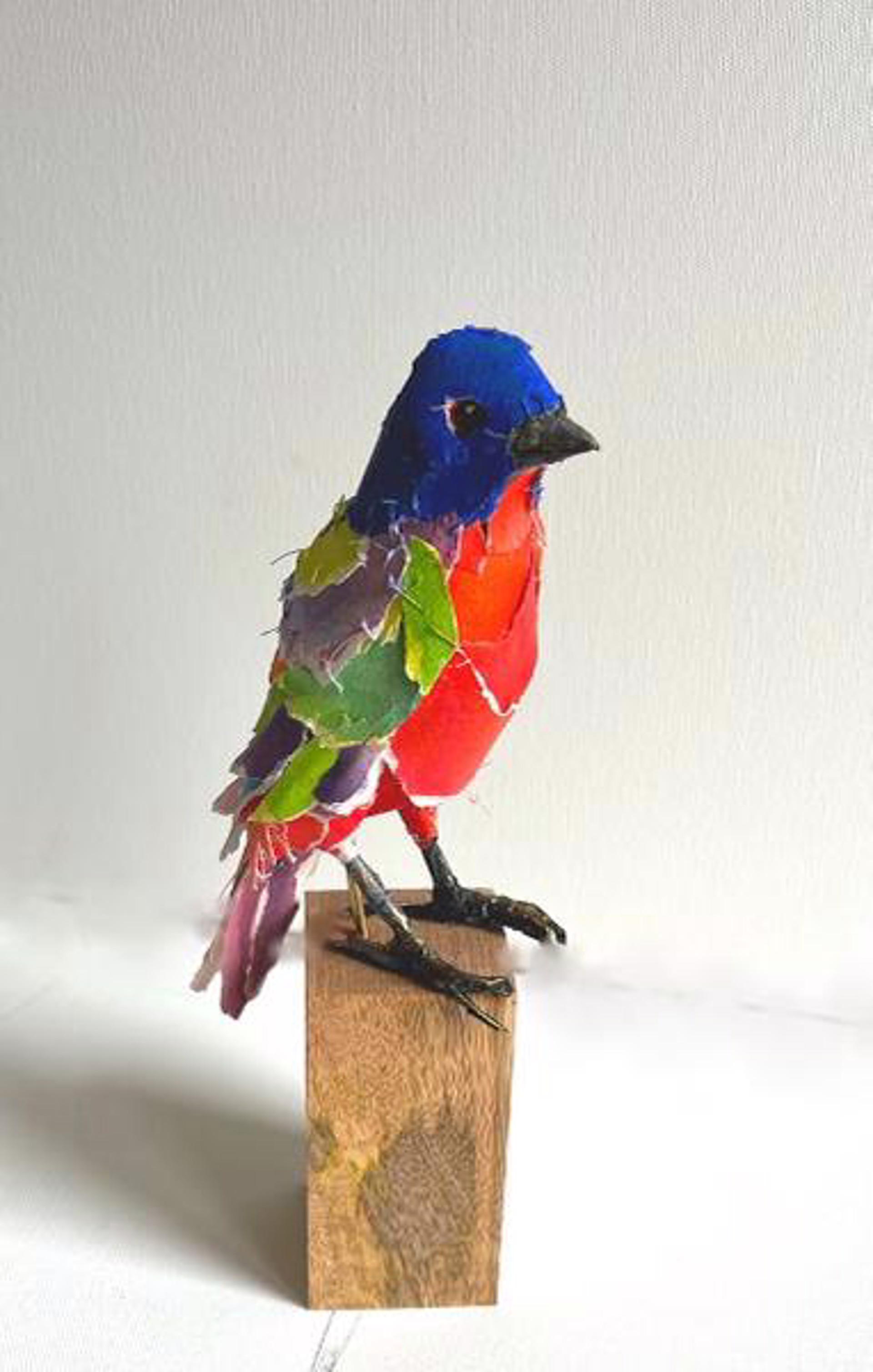 Colorful Character - Painted Bunting by Cathy Rowten