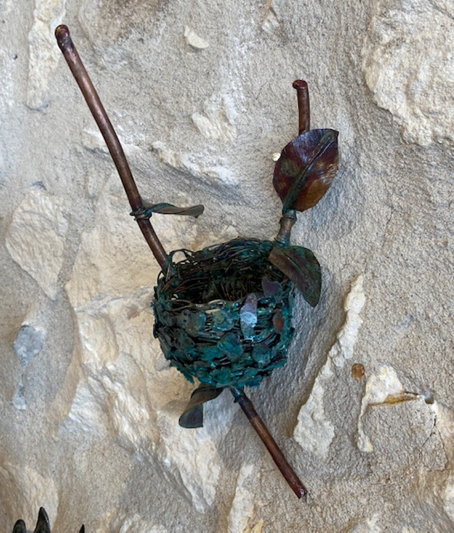 Nest for the Giant Hummingbird by Stevie Jo Lake