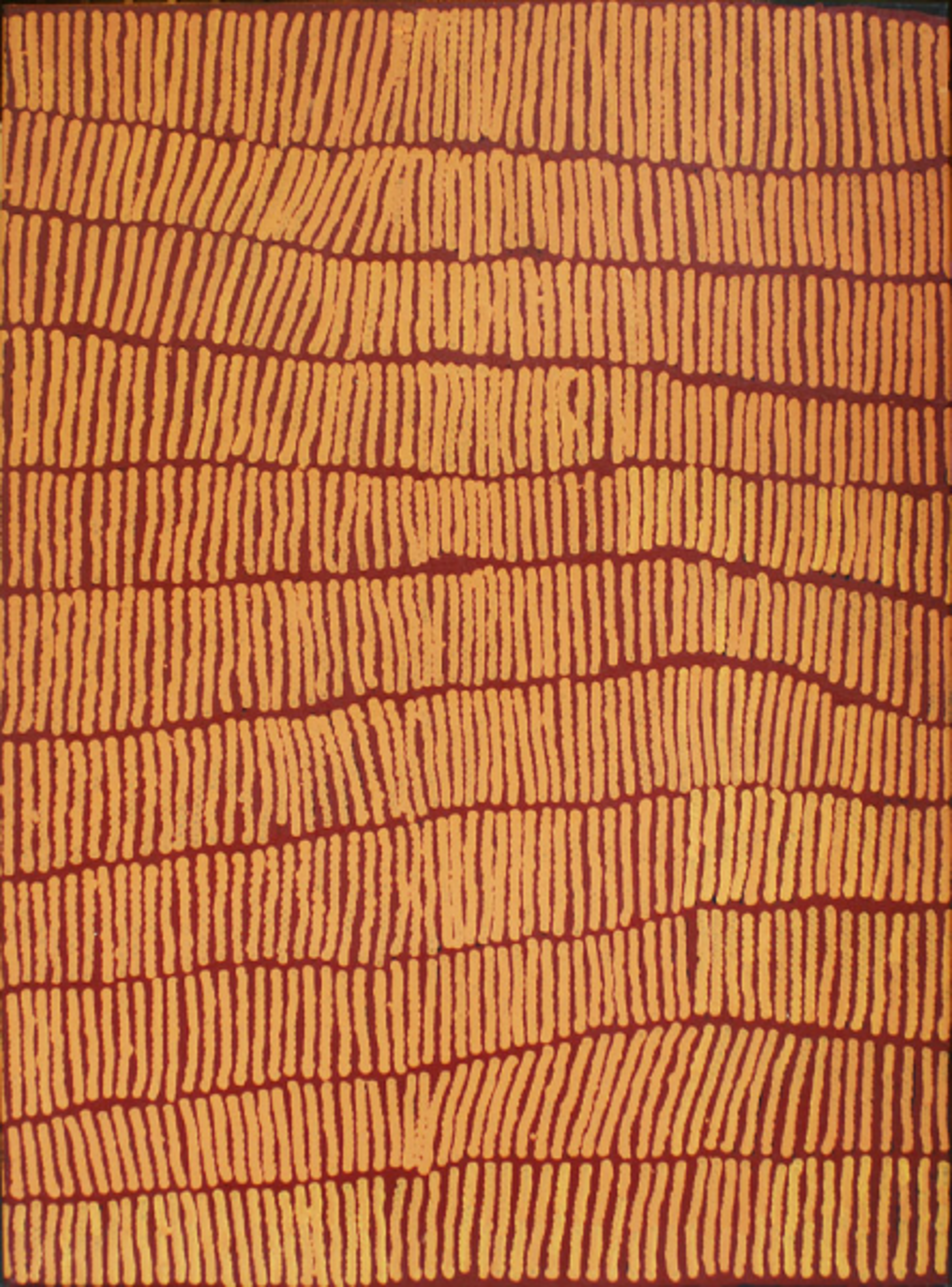 Tali (Sand Hills) by Australian Aboriginal Artists