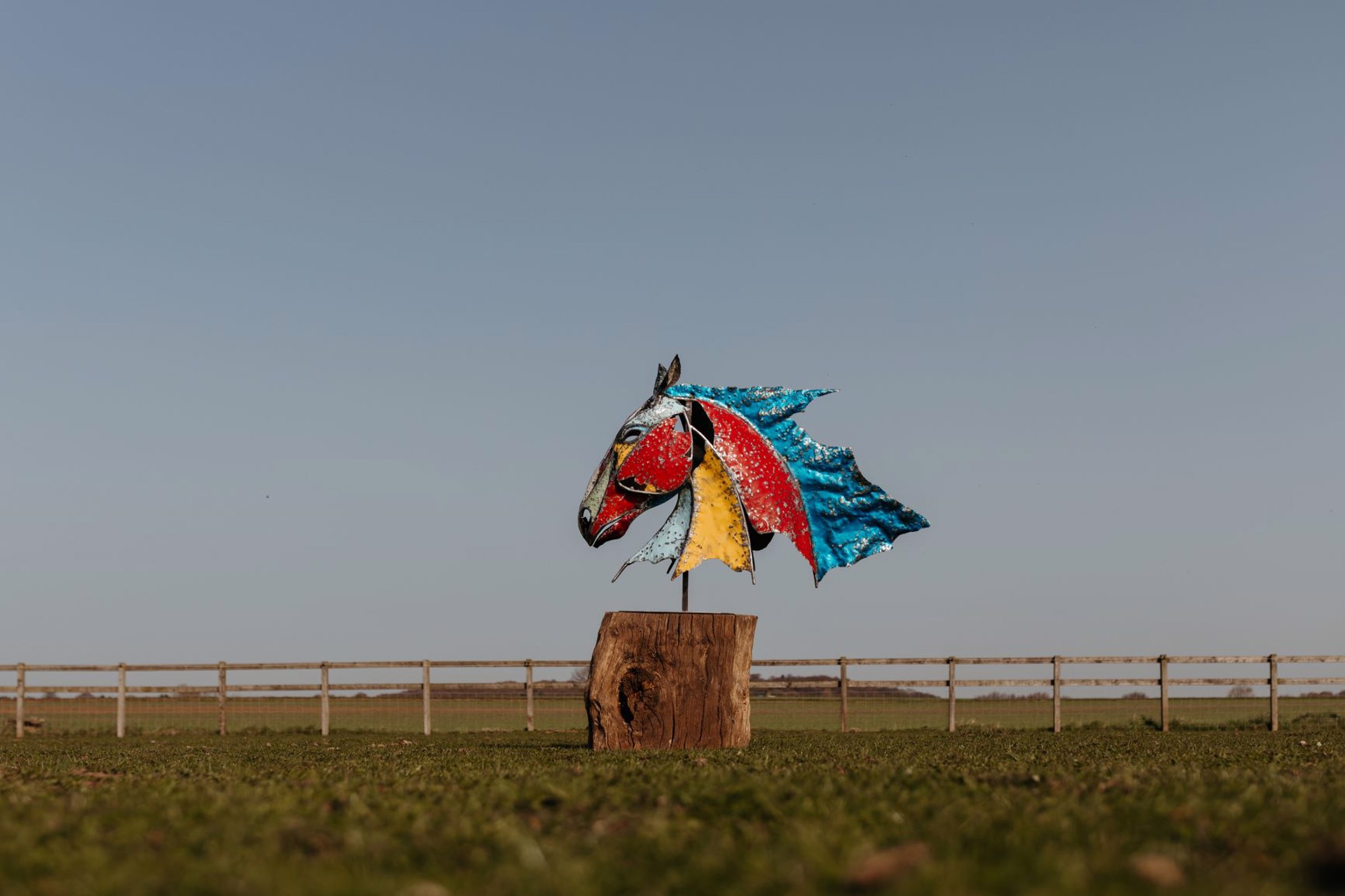 Carse Horse by Ollie Holman