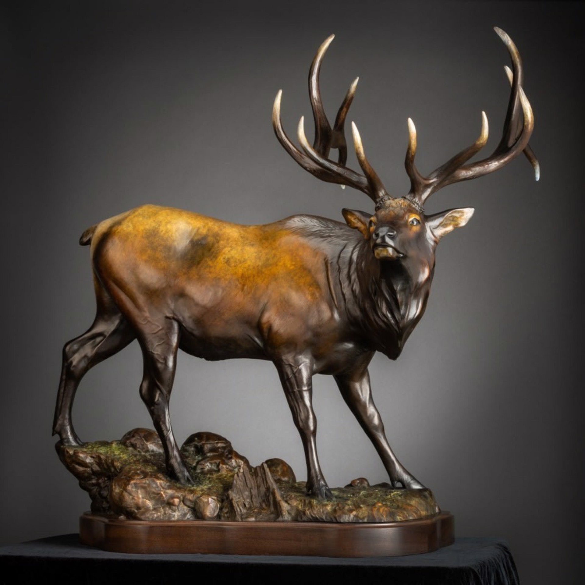 Elk - Ghost King by Jordan Abernethy