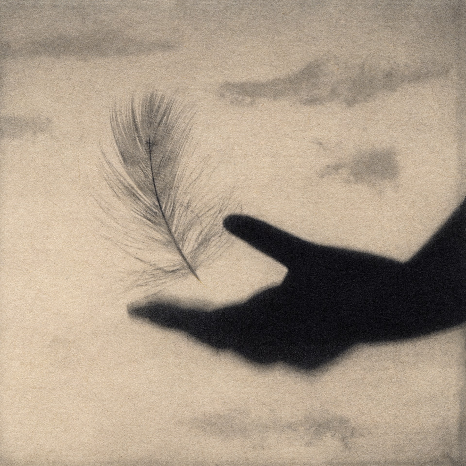 Feather by Jennifer Shaw
