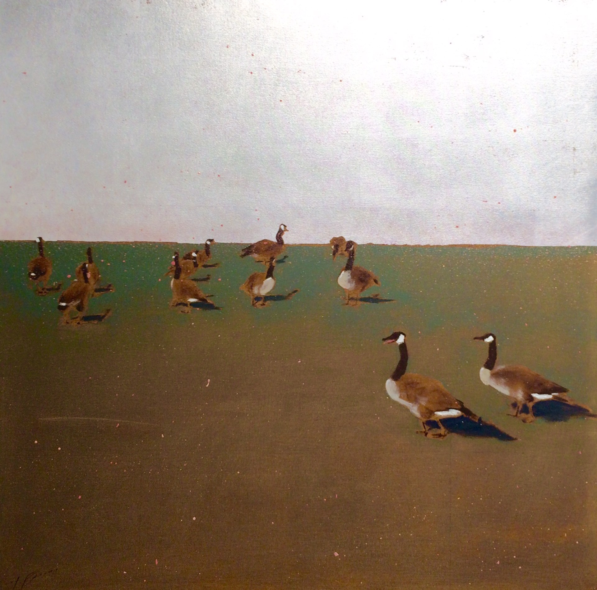 Geese on Grass by Josh Brown