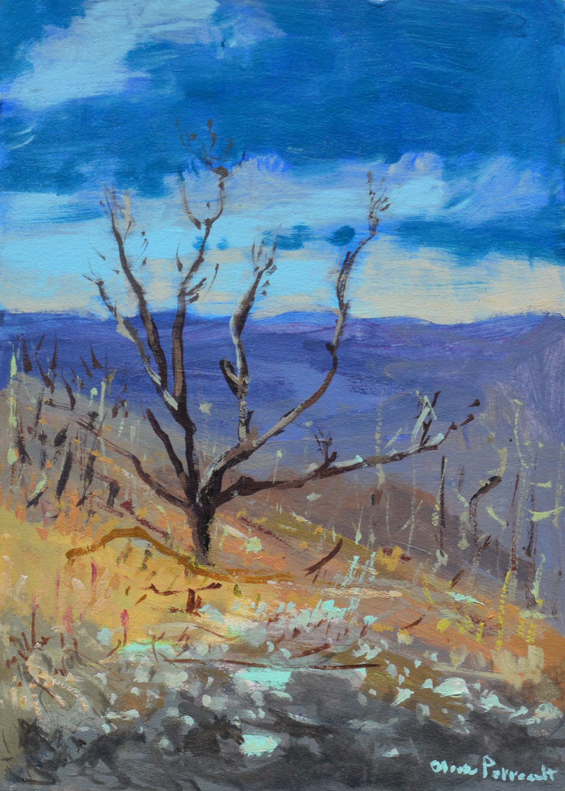 Lone Tree on the Mountain Top by Olivia Perreault
