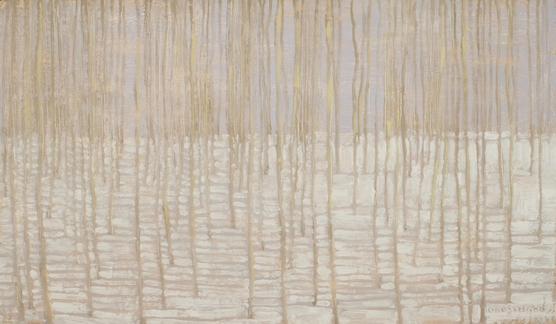 Winter Forest with Shadow Lines by David Grossmann