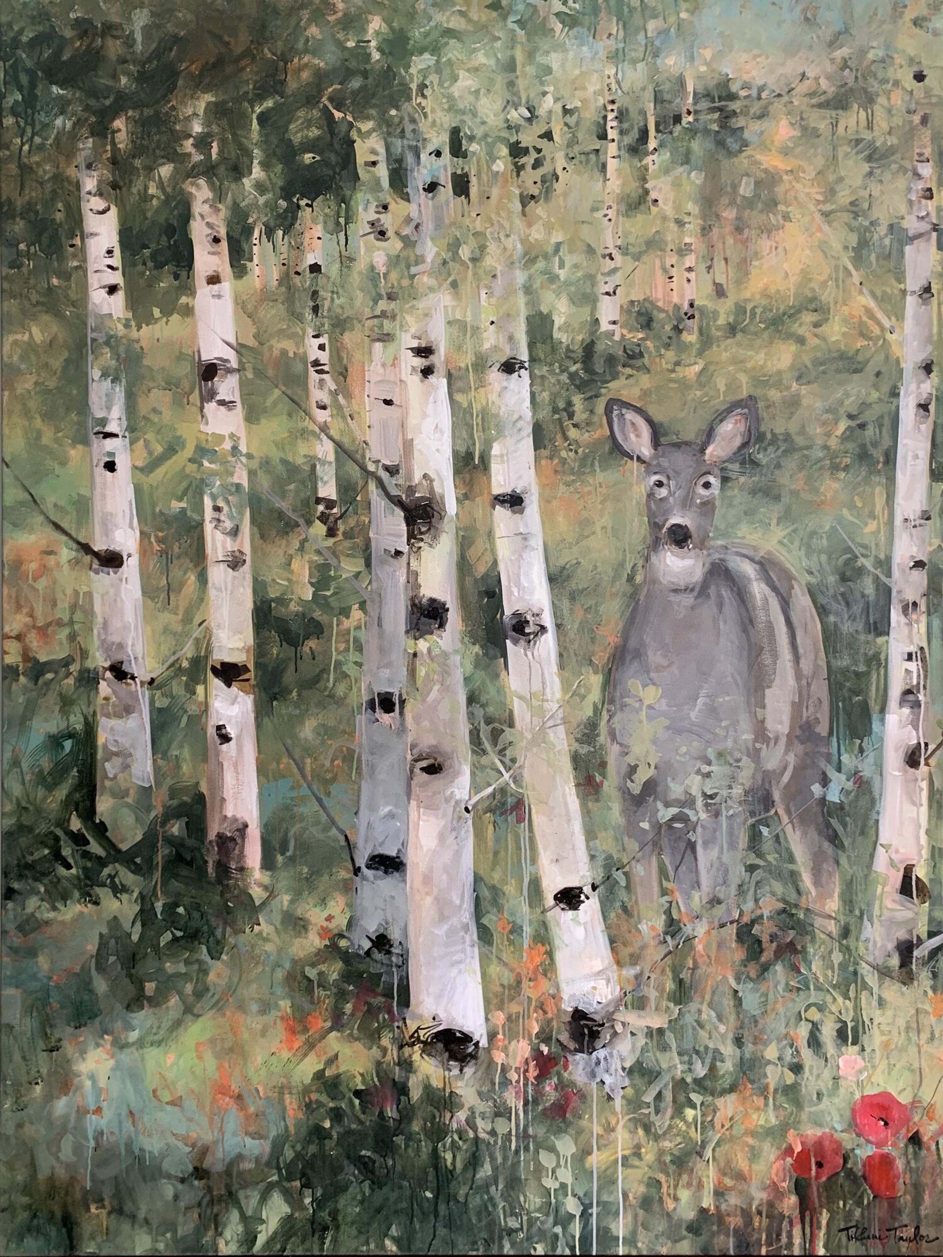 Doe in Aspen Tree Grove, Wyoming... by Tiffani Taylor