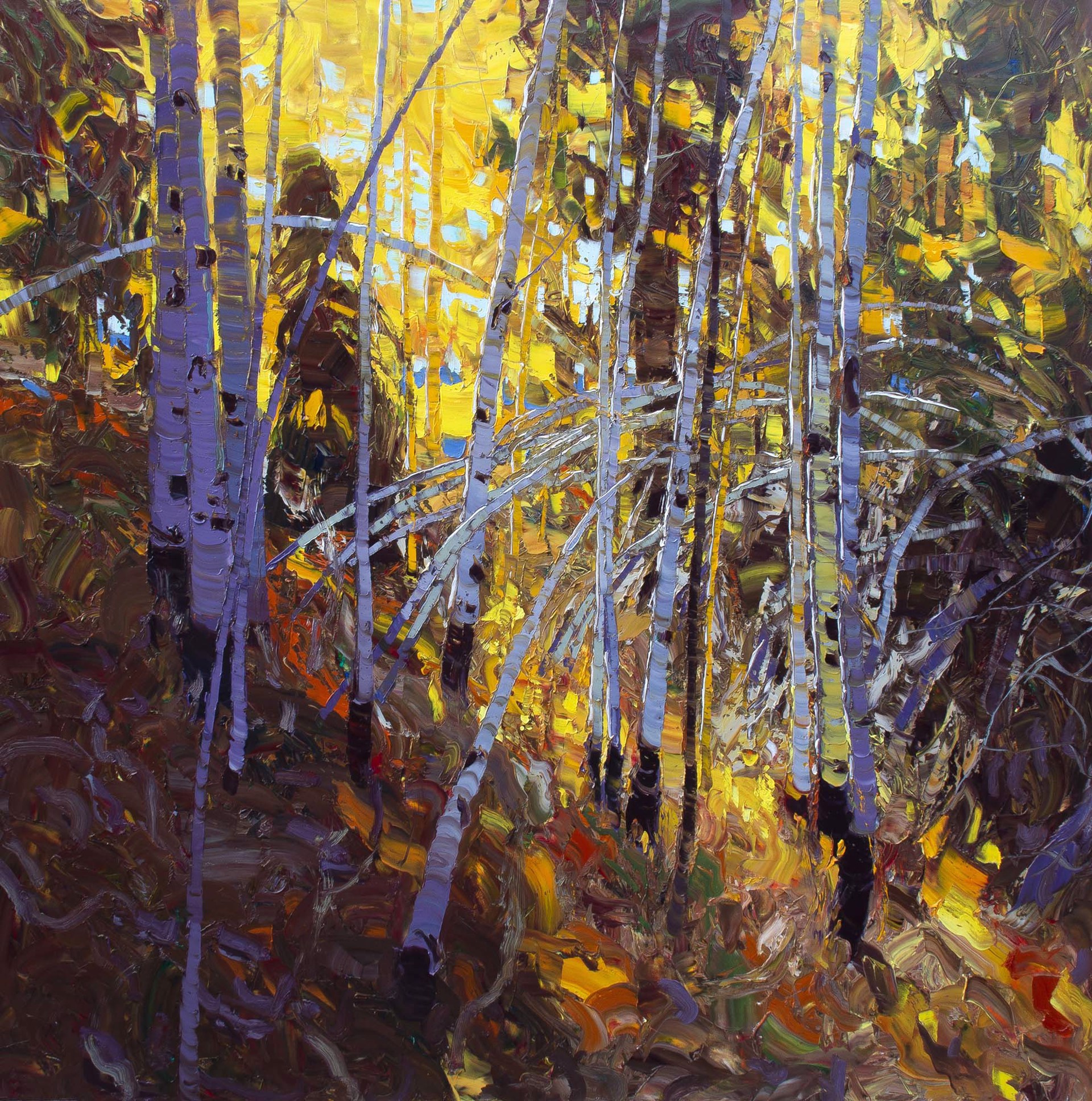 A Contemporary Painting Of Aspens On A Hillside By Silas Thompson Available At Gallery Wild