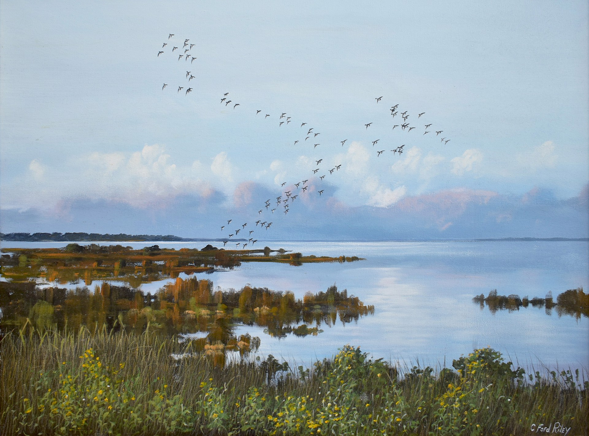 Birds in Flight by C. Ford Riley