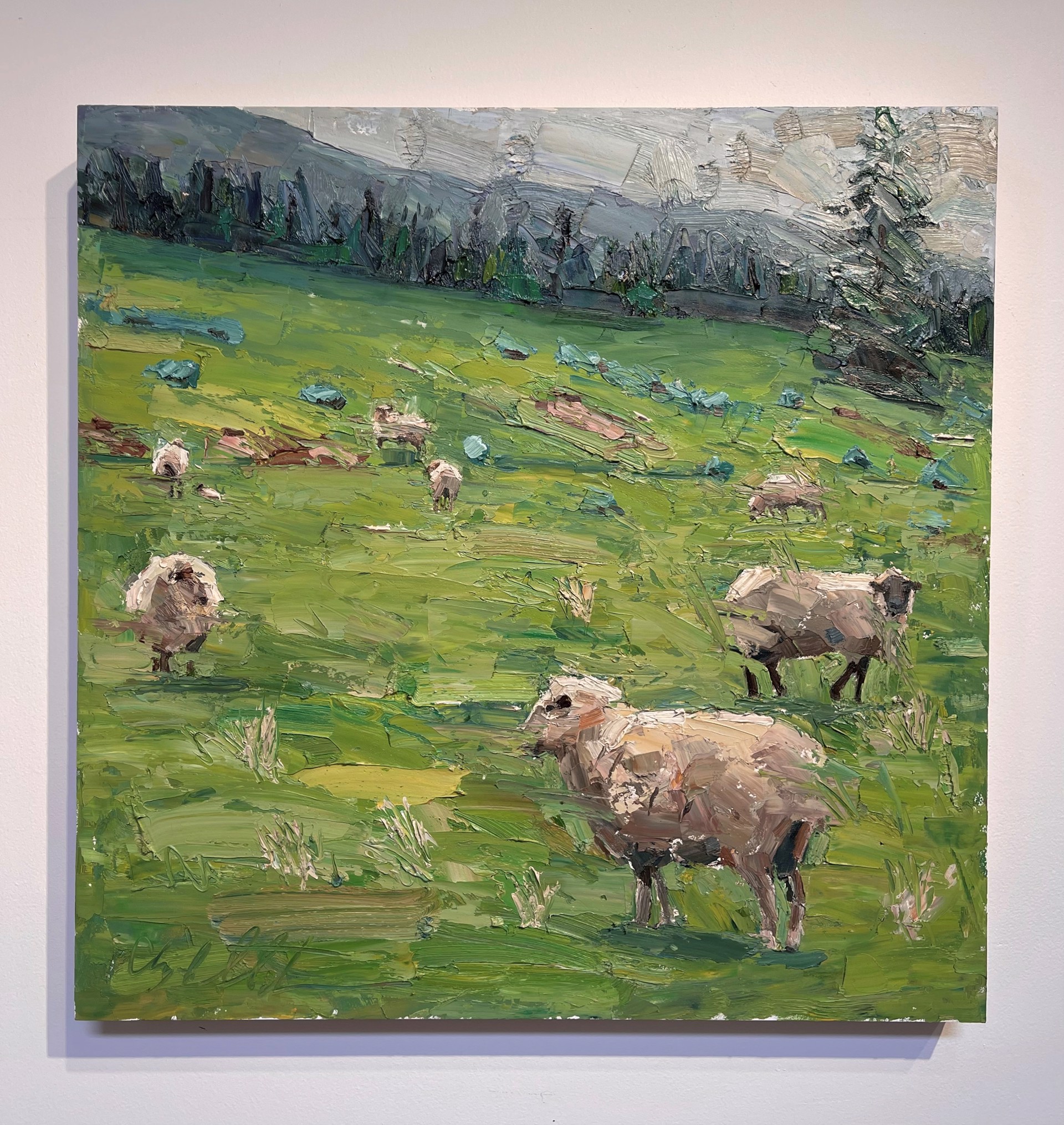 Sheepish by Clyde Steadman
