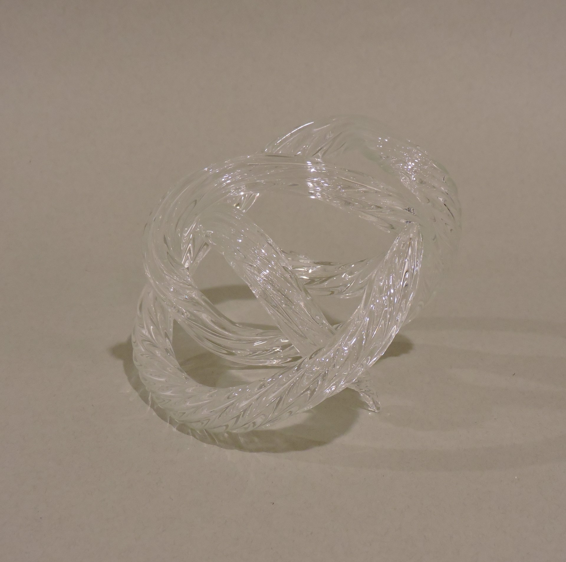 Infinity Knot (Clear) by Viz Glass