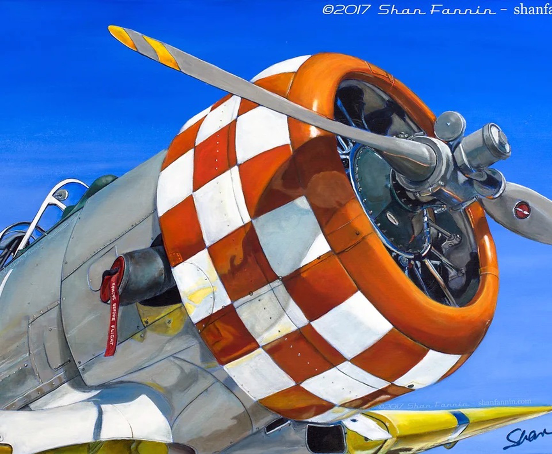 1944 T6 Texan World War II Era Airplane by Shan Fannin