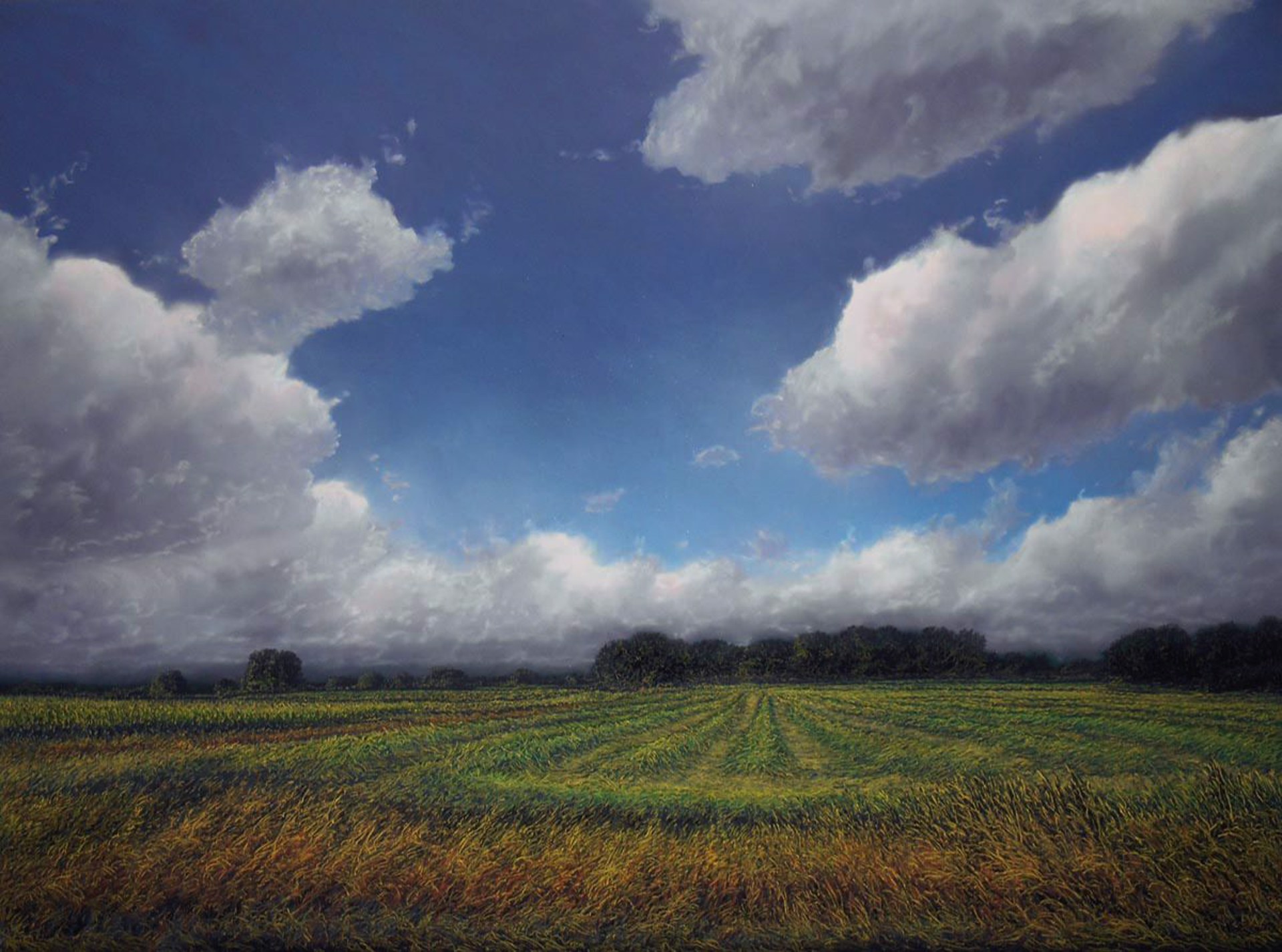 Windrows and Cumulus Clouds by Ellen Wagener