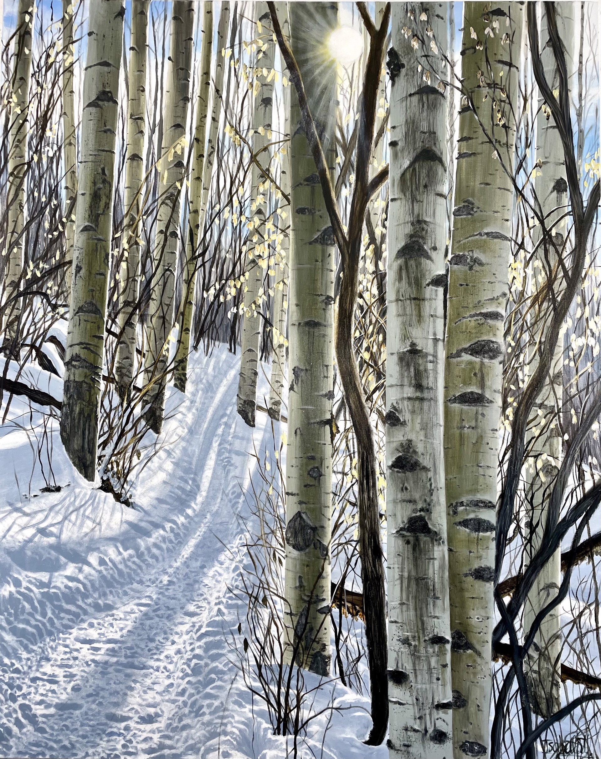 “Winter Bells of Mid December; Tom Blake Trail” by Isabella Garaffa