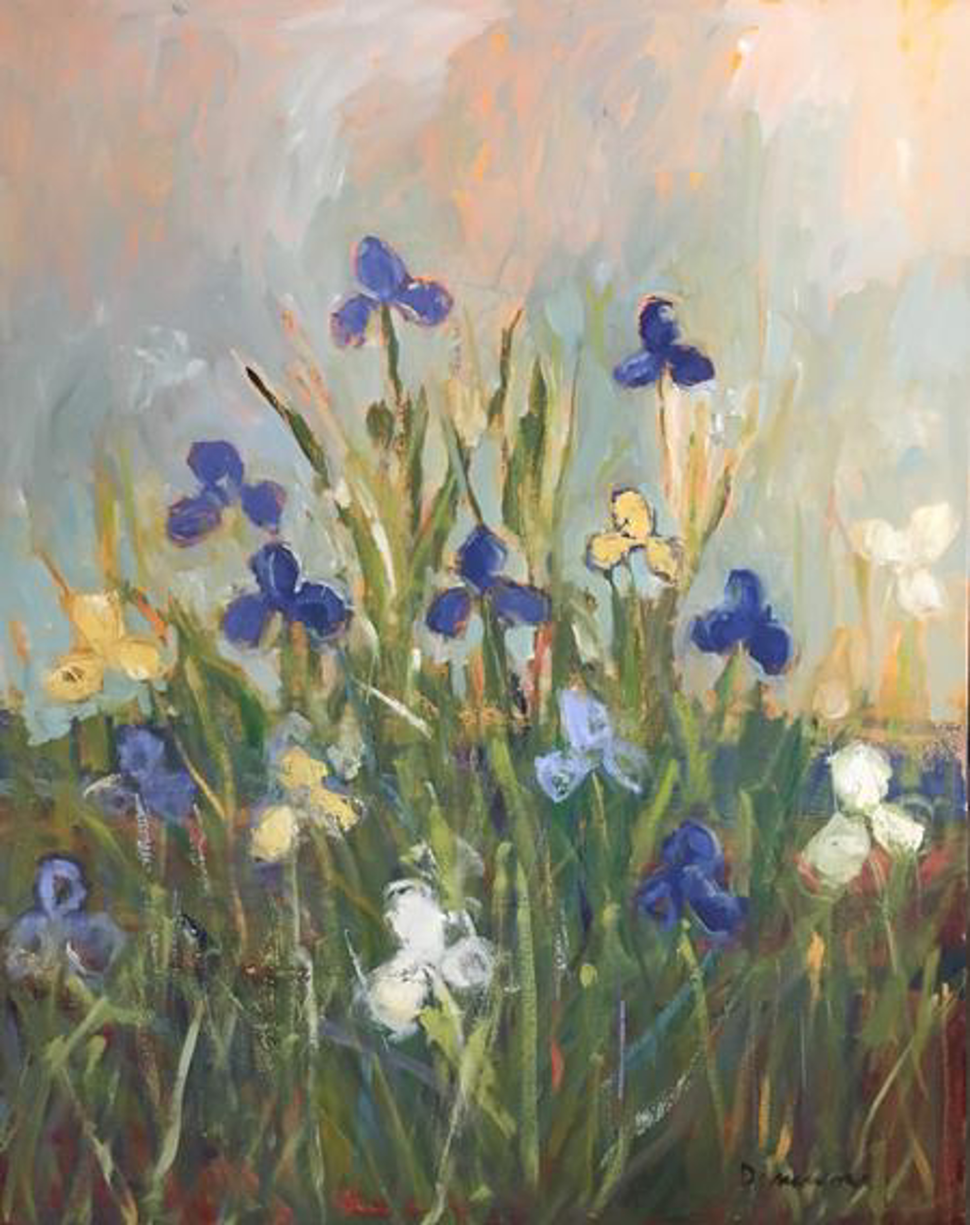 Iris in Landscape by Stephen Dinsmore