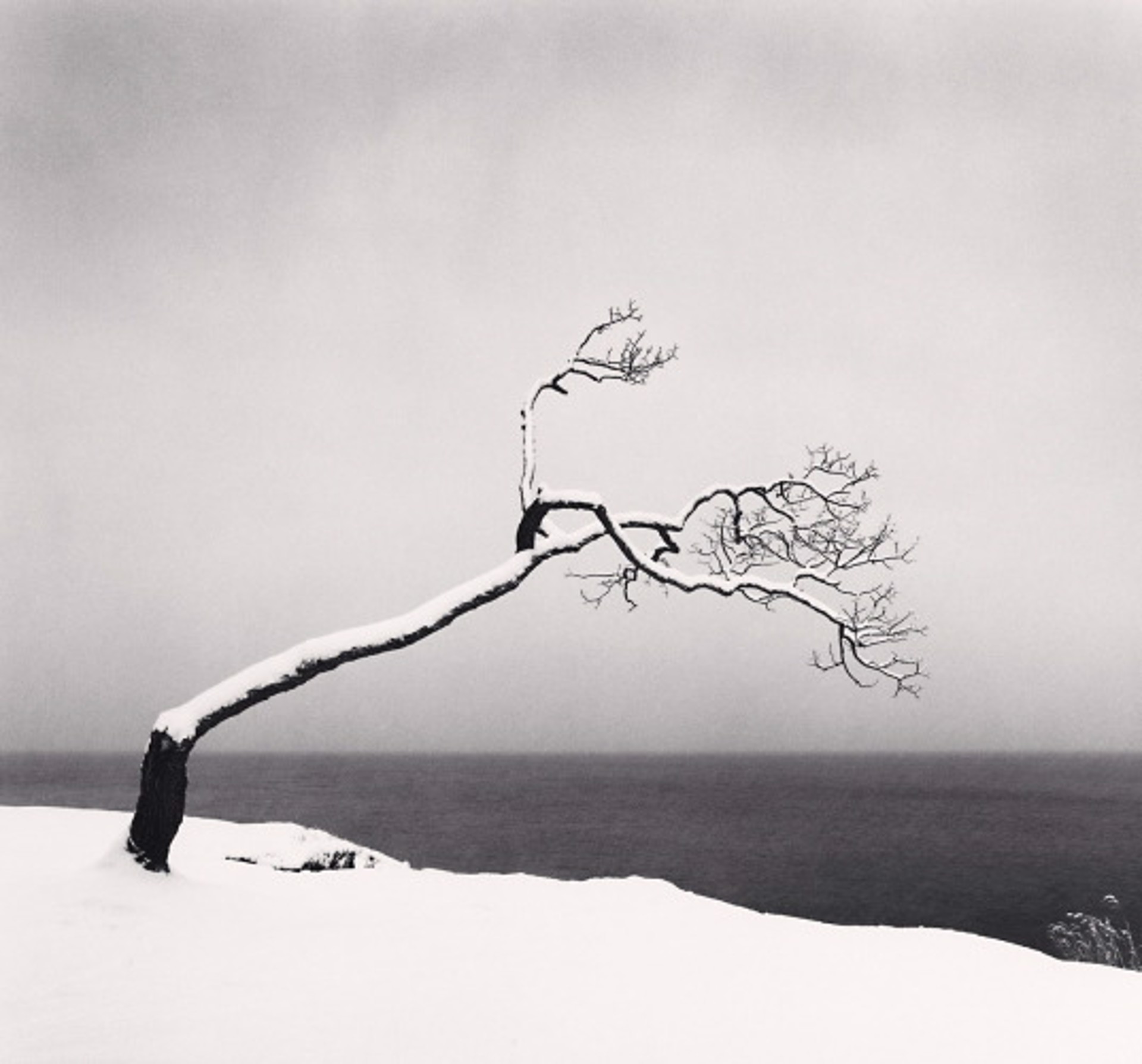 Kussharo Lake Tree, Study 3, Kotan, Hokkaido, Japan (edition of 45) by Michael Kenna