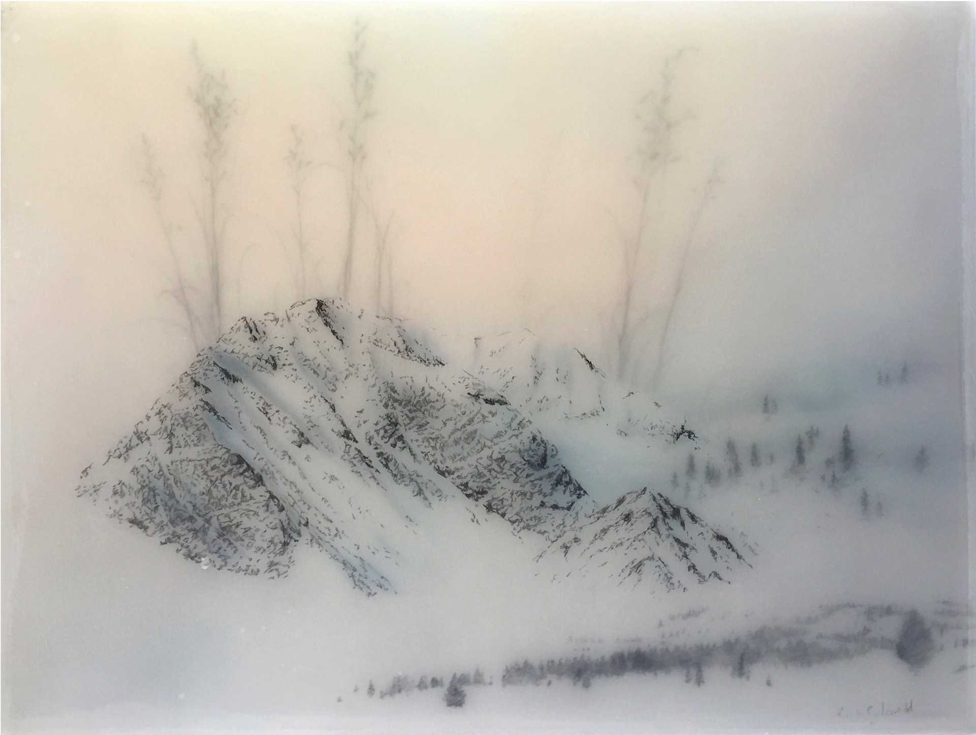 Long Grass and Blue Mountain by Brooks Salzwedel