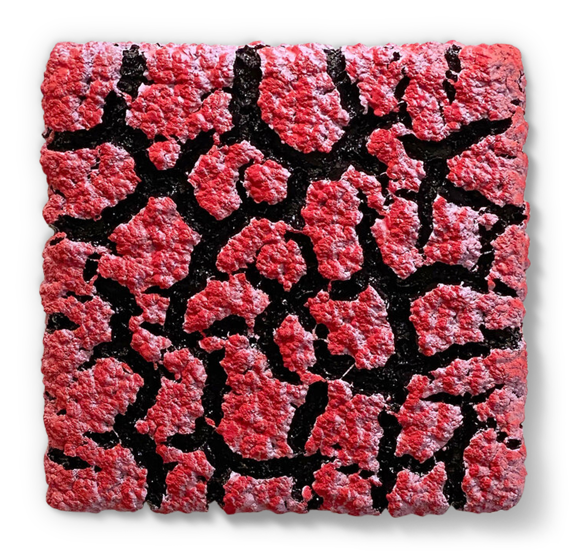 Purple & Red Lichen Wall Piece (Other colors can be ordered) by Randy O'Brien