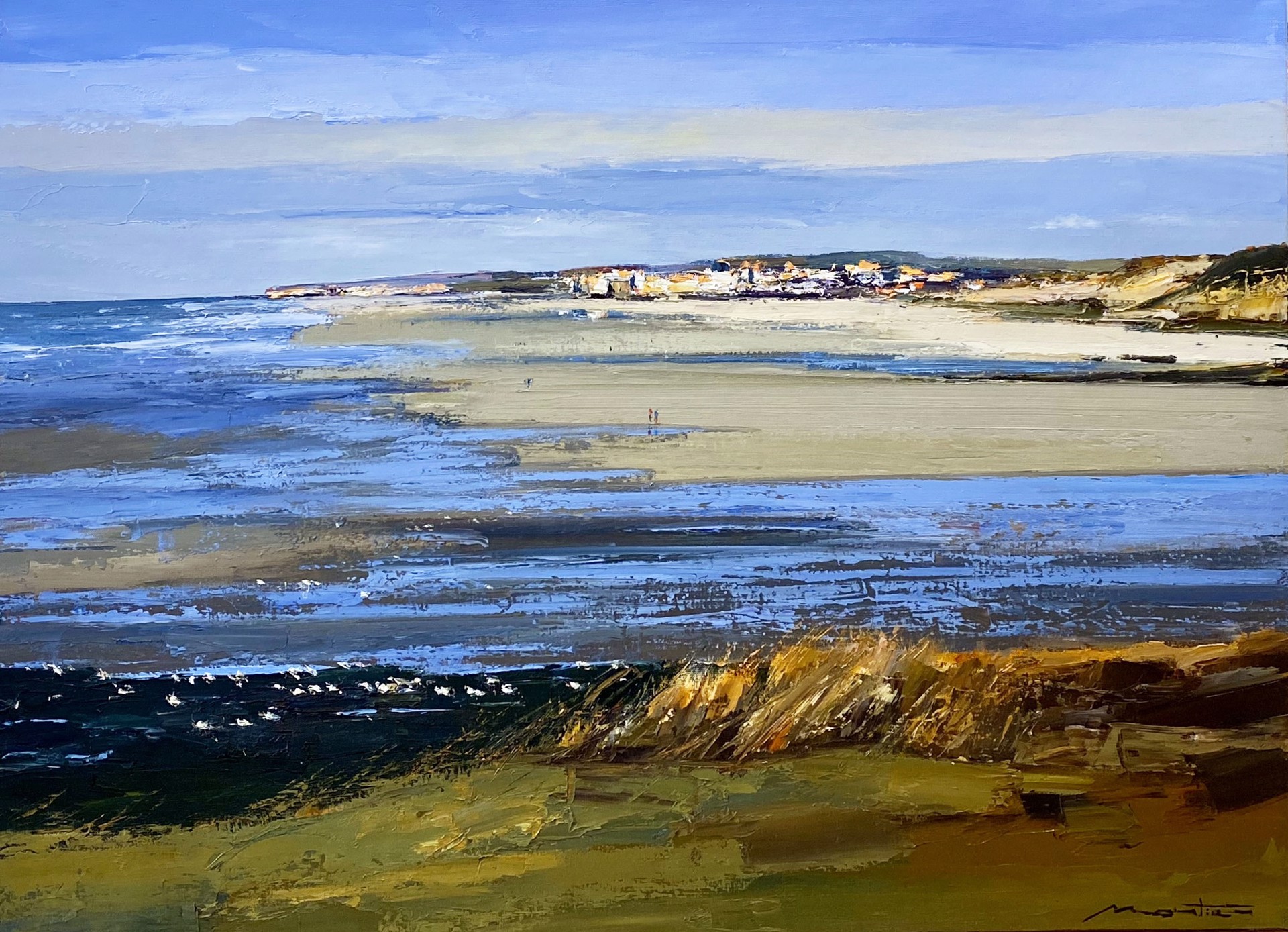 La pointe aux Oies by GERARD MORTIER