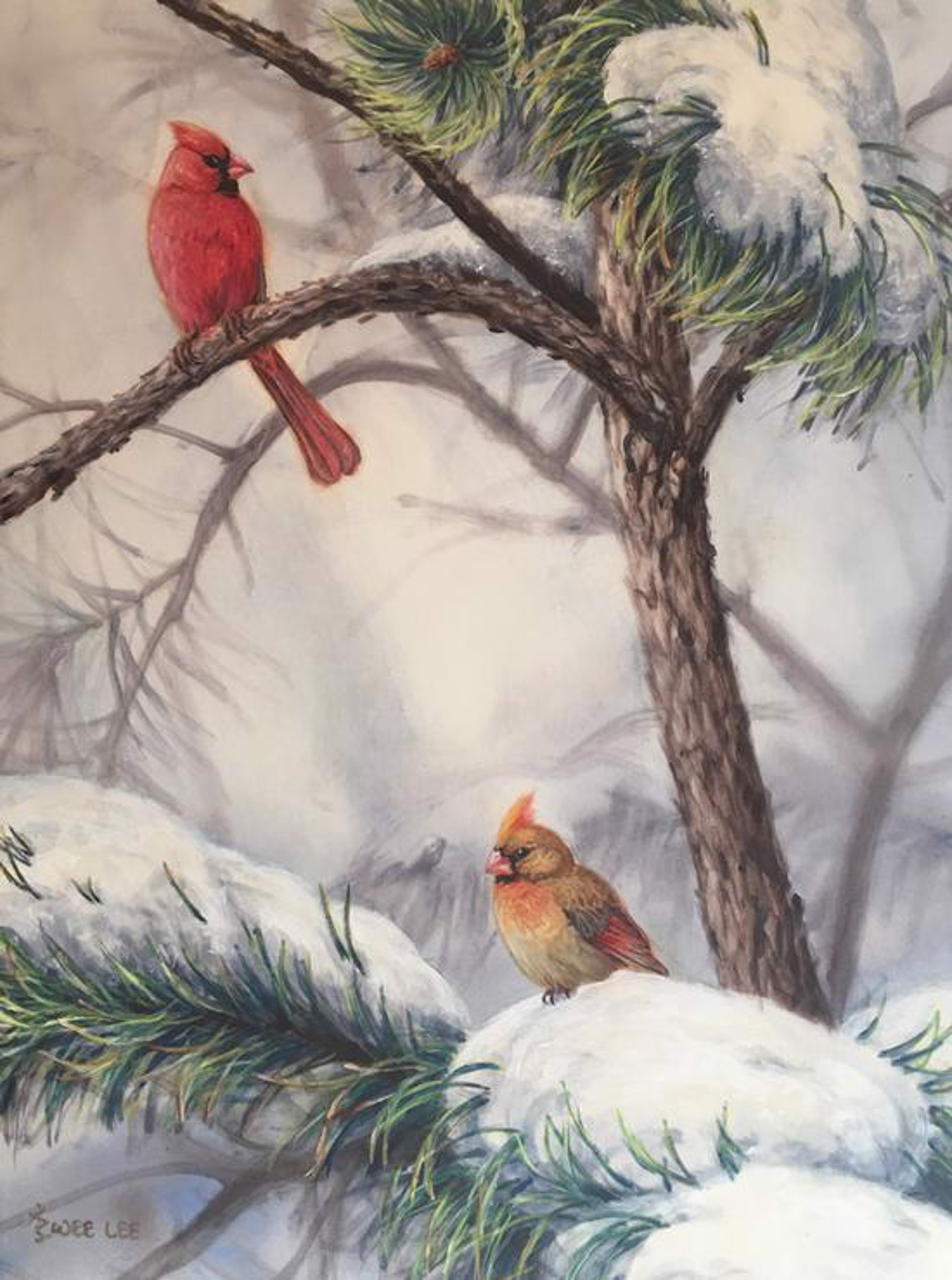 Cardinal Pair in Pine Tree by Wee Lee