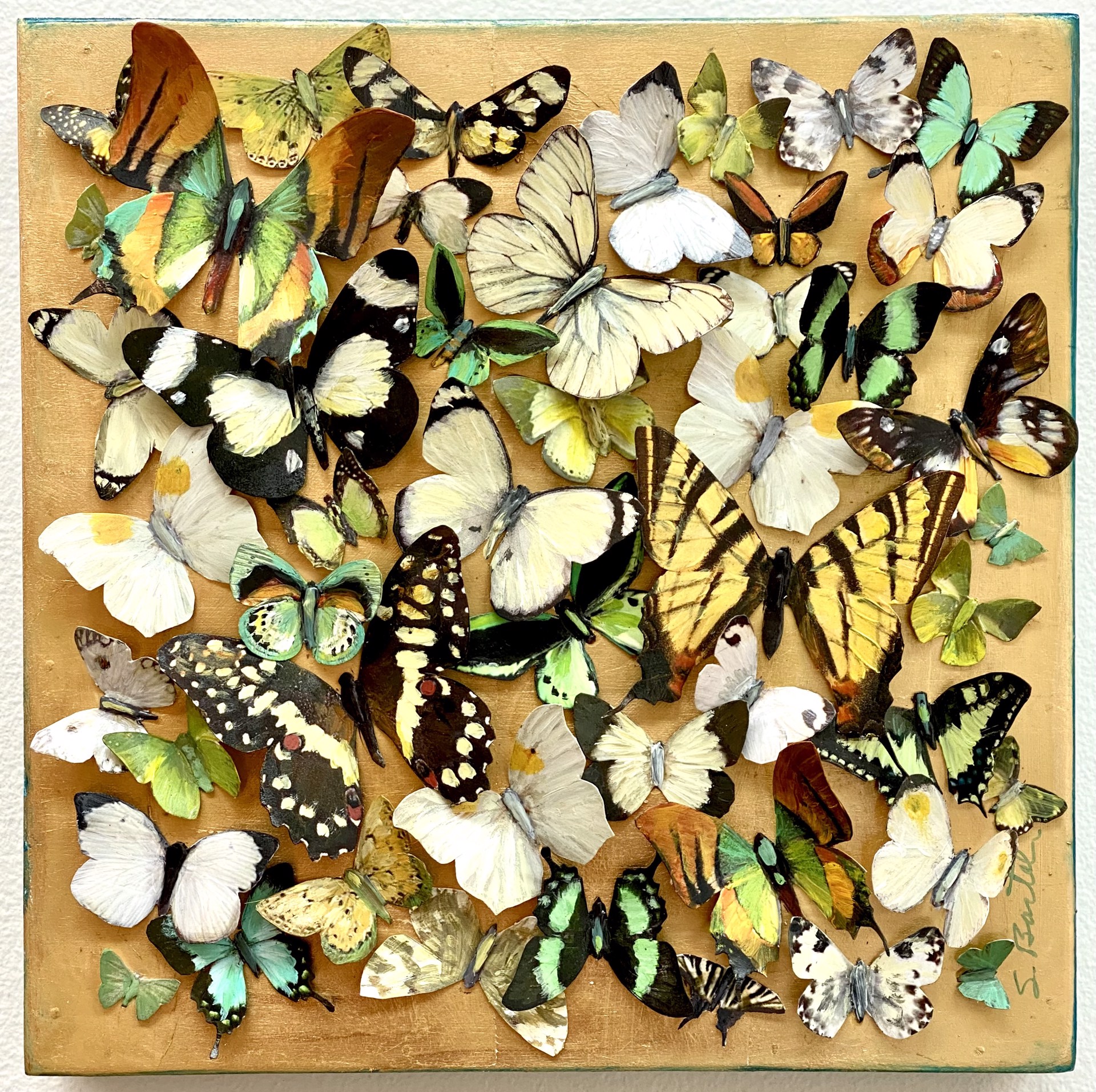 Spring Butterflies by Shelly Bartek