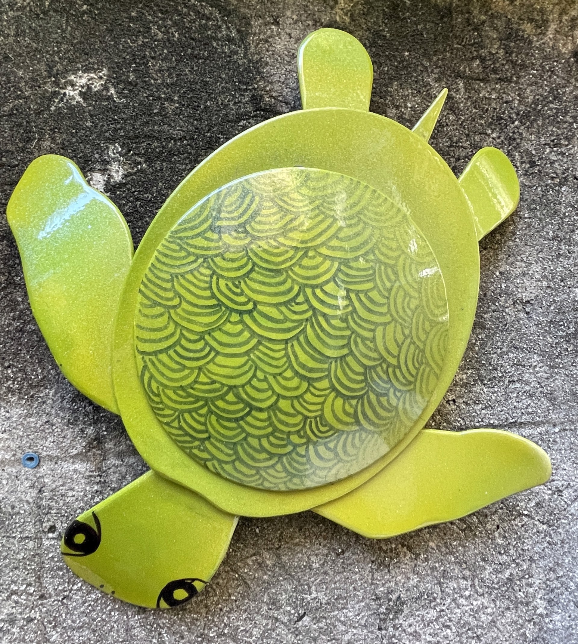 Vegan Green Sea Turtle by Stephen Kishel