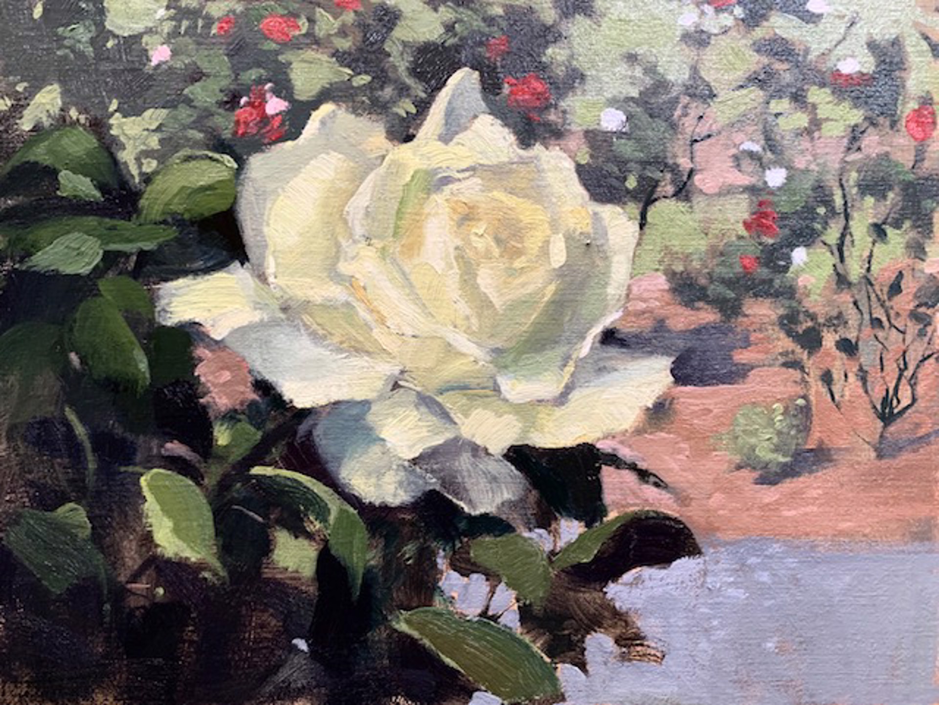 Rose by Morgan Samuel Price