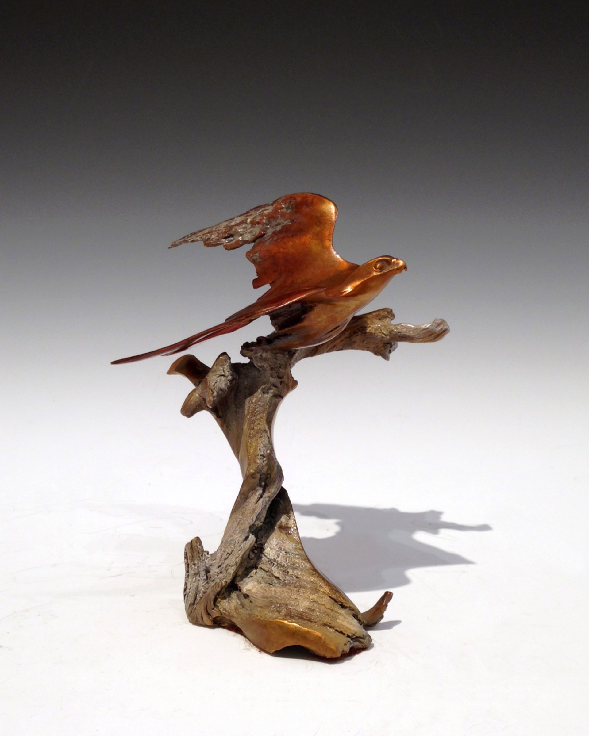 J. Christopher White | Bronze Coast Gallery & Brumfield Gallery