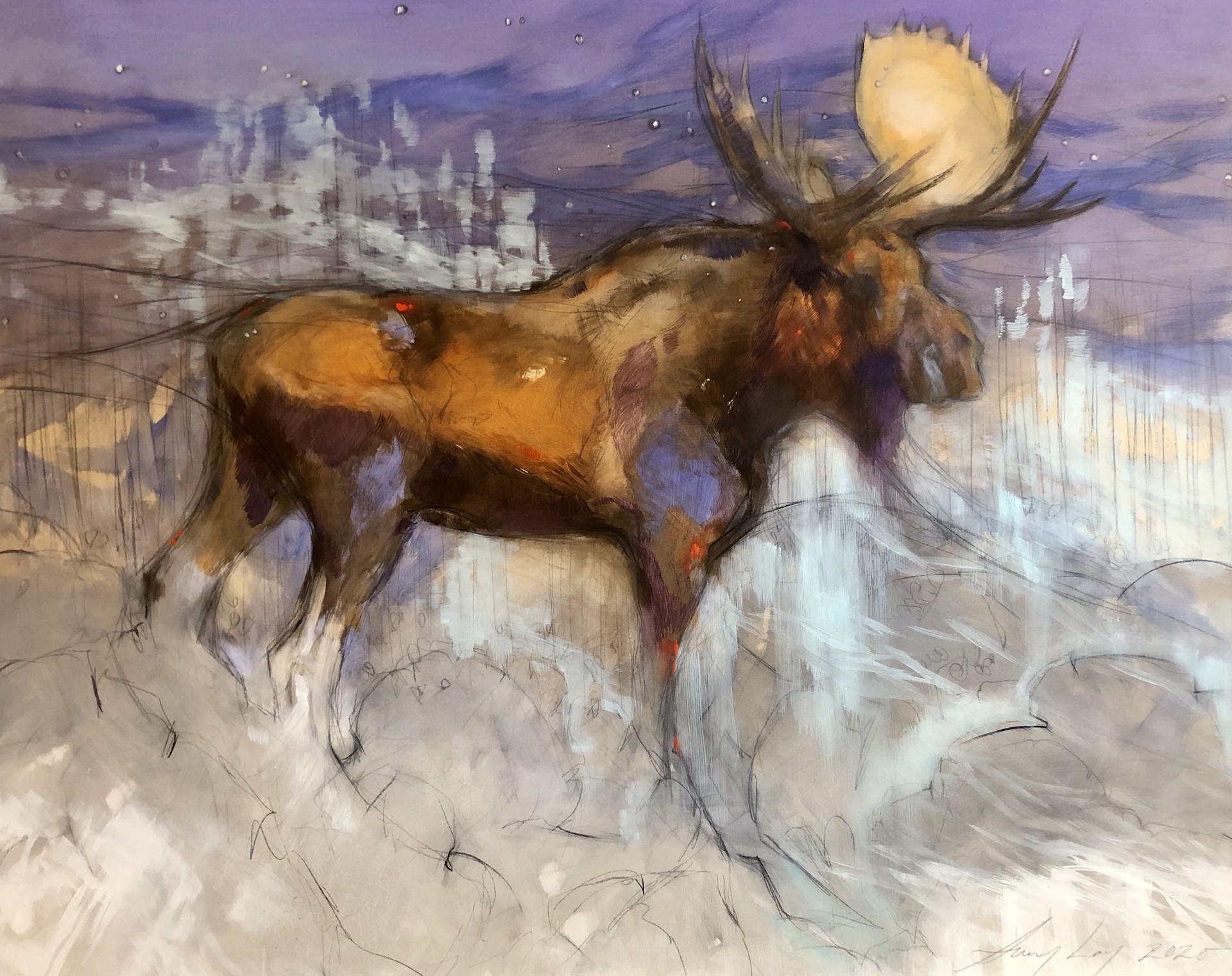 BULL MOOSE STARRY NIGHT by Amy Lay